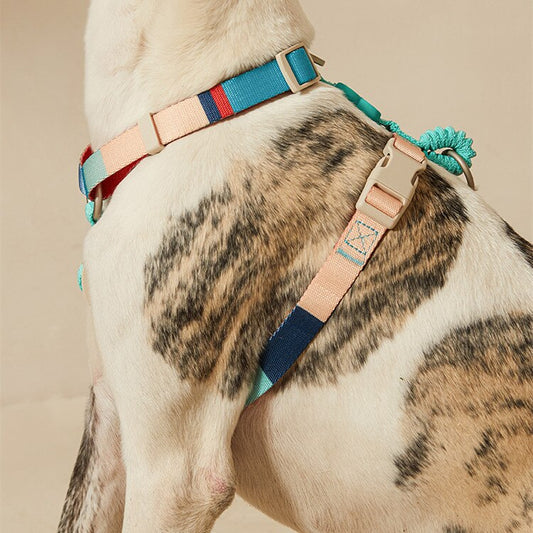 The Benefits and Proper Fitting of Chest Harnesses for Your Canine Companion