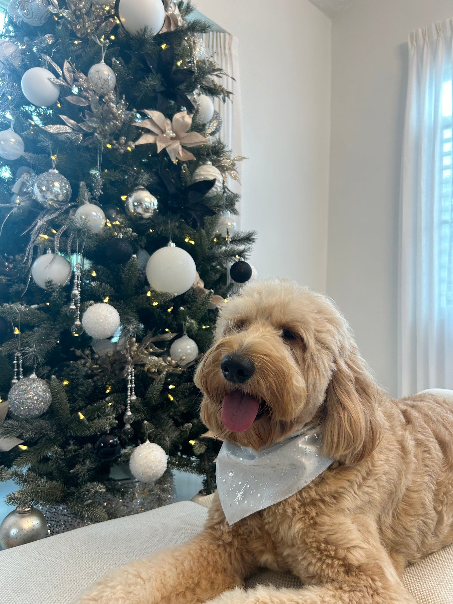 Blue Winter Bliss Bandana