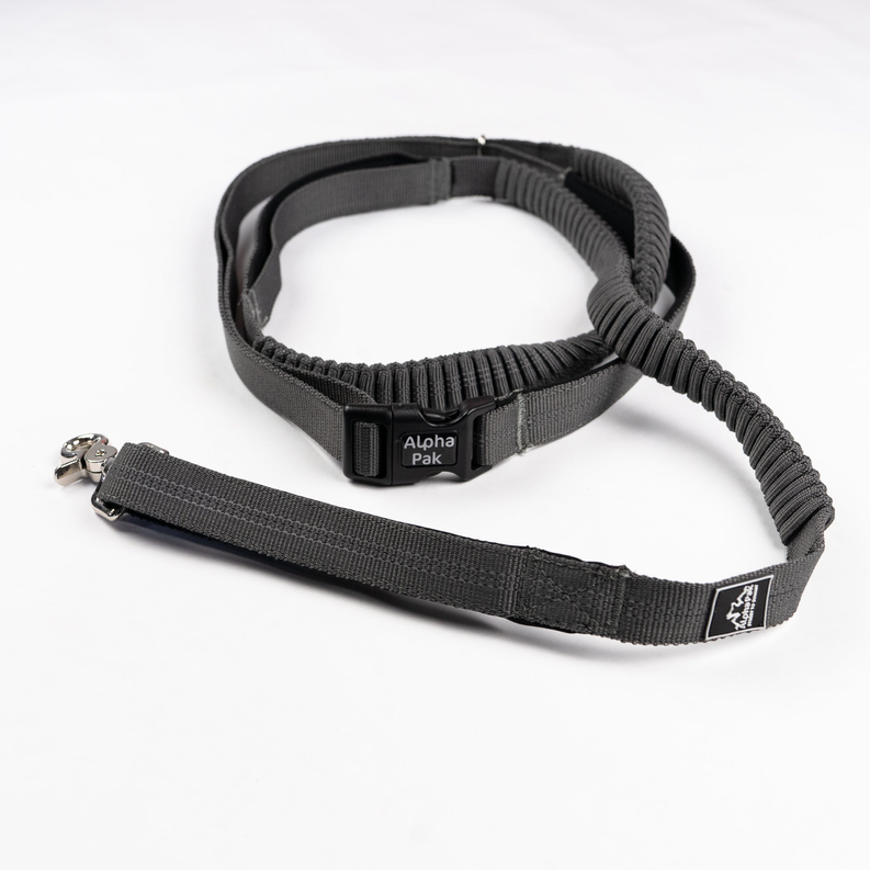 Cascades Graphite Stretchable Runner Dog Leash