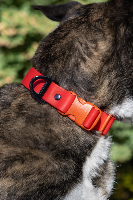 Scarlet Peaks Waterproof Dog Collar