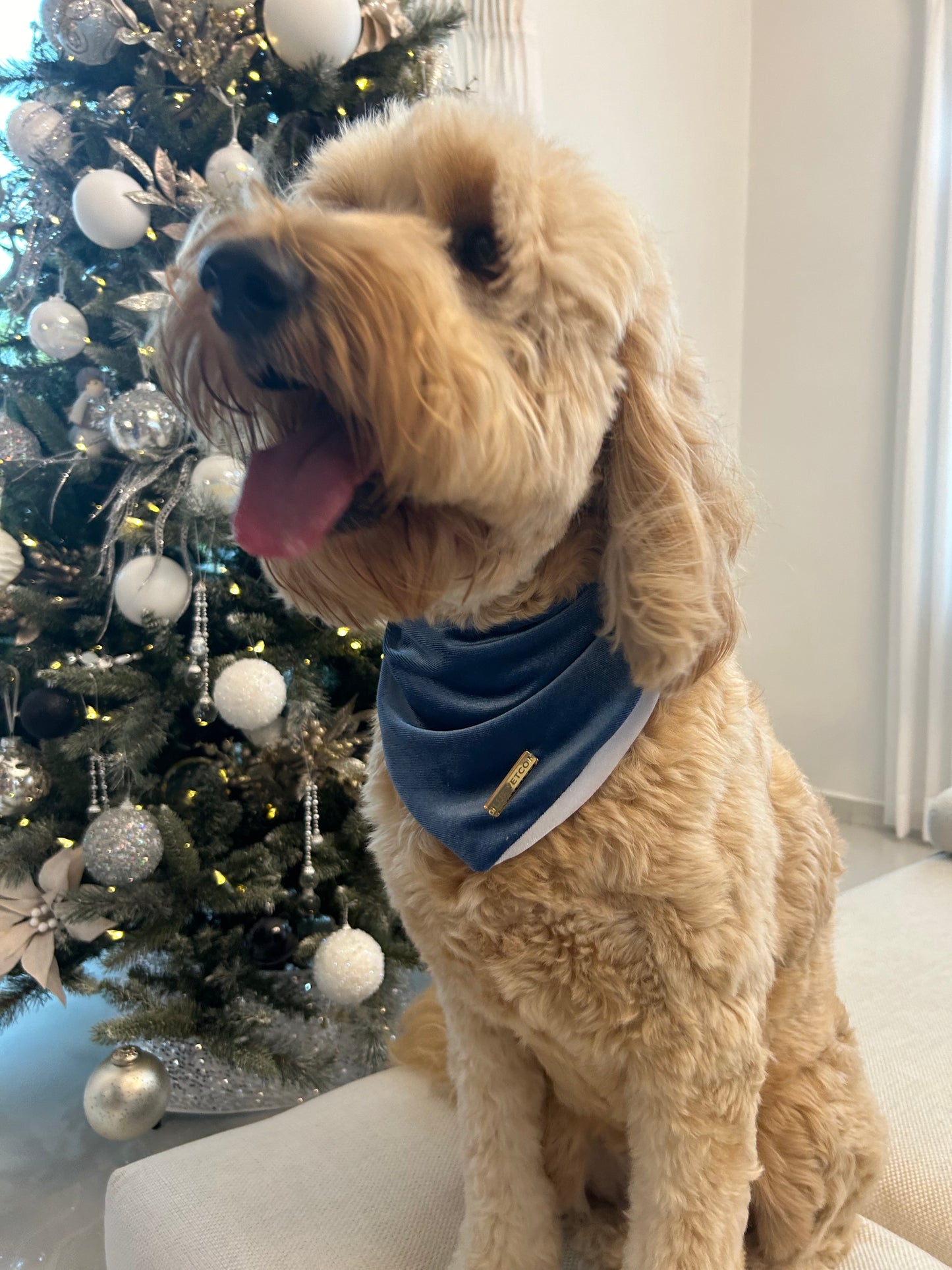 Ocean Blue Velvet Christmas Bandana