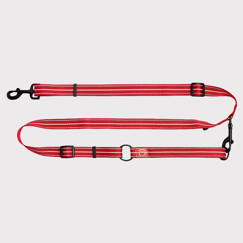 GF Pet Reflective Leash - EEZY-6