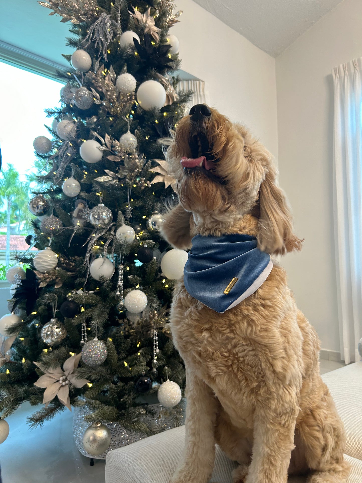 Ocean Blue Velvet Christmas Bandana