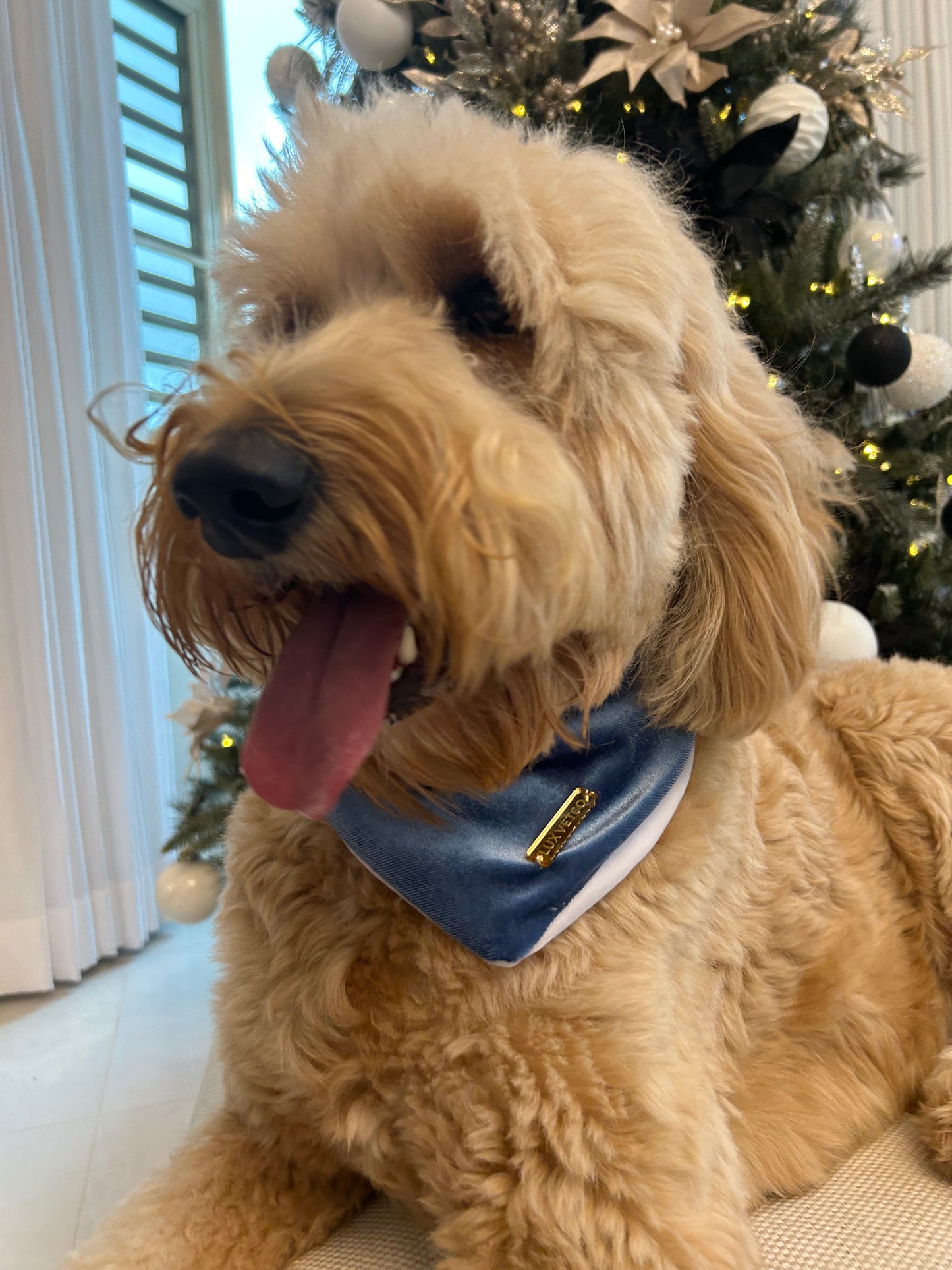 Ocean Blue Velvet Christmas Bandana