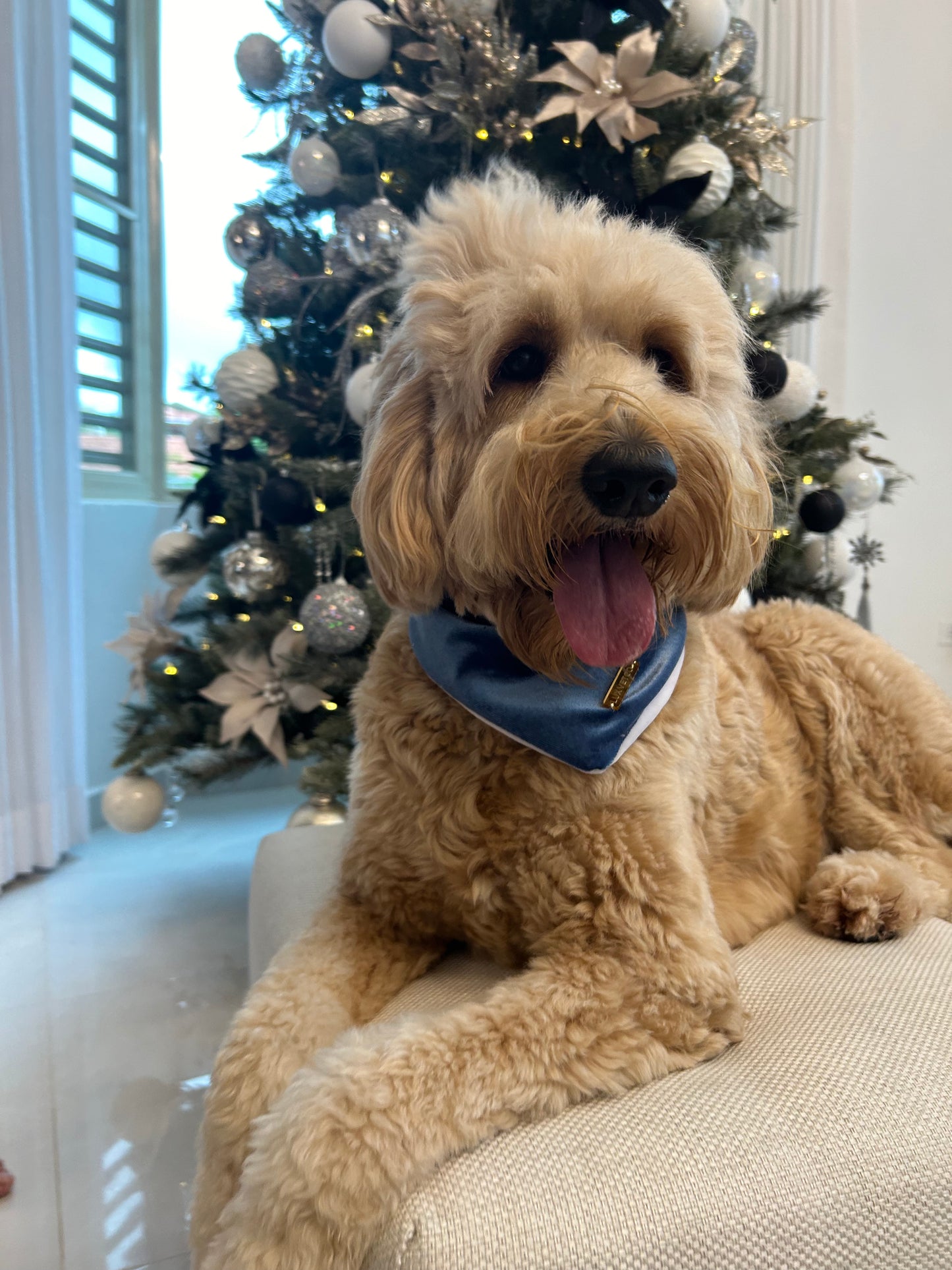 Ocean Blue Velvet Christmas Bandana