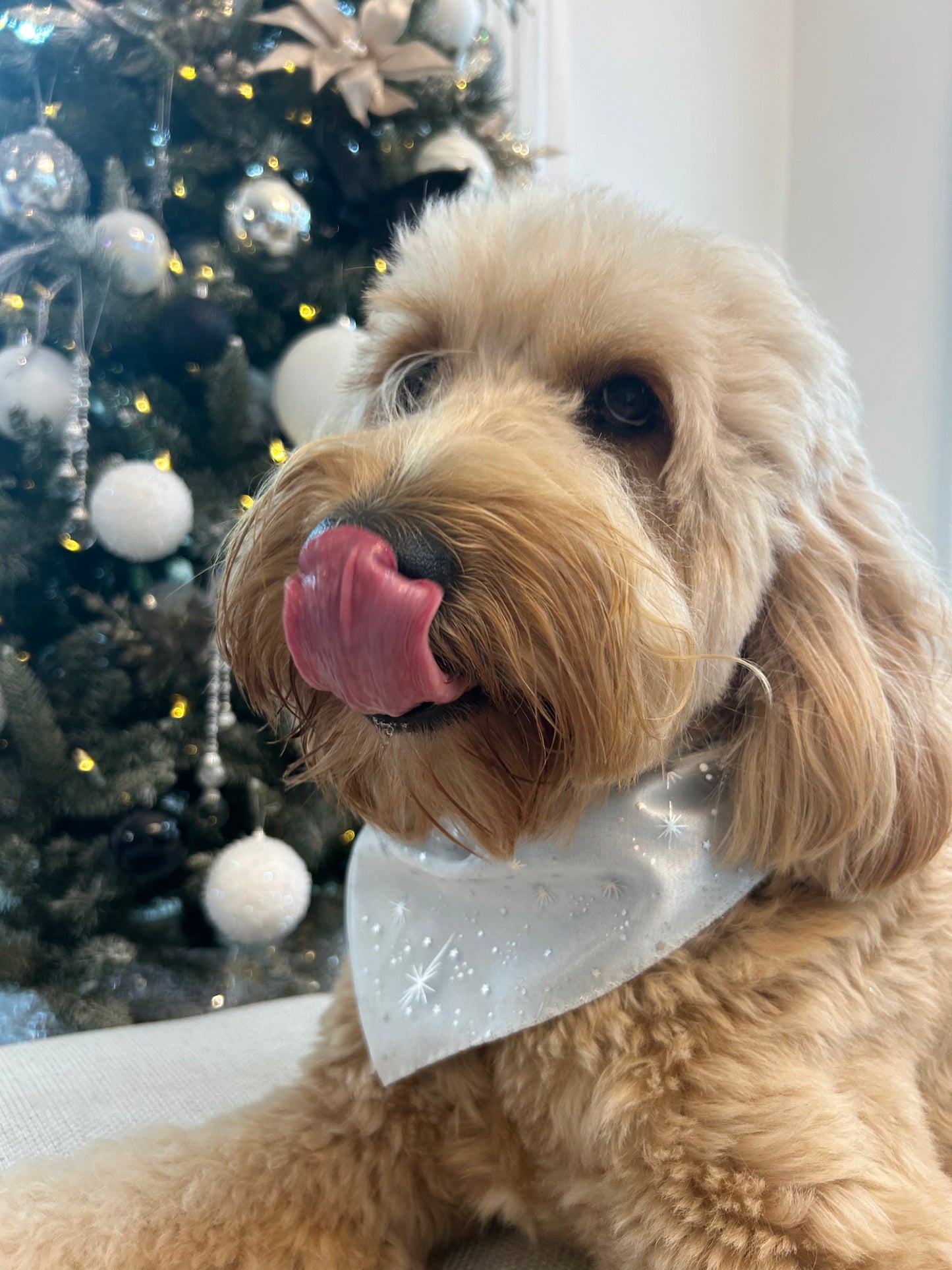 Blue Winter Bliss Bandana