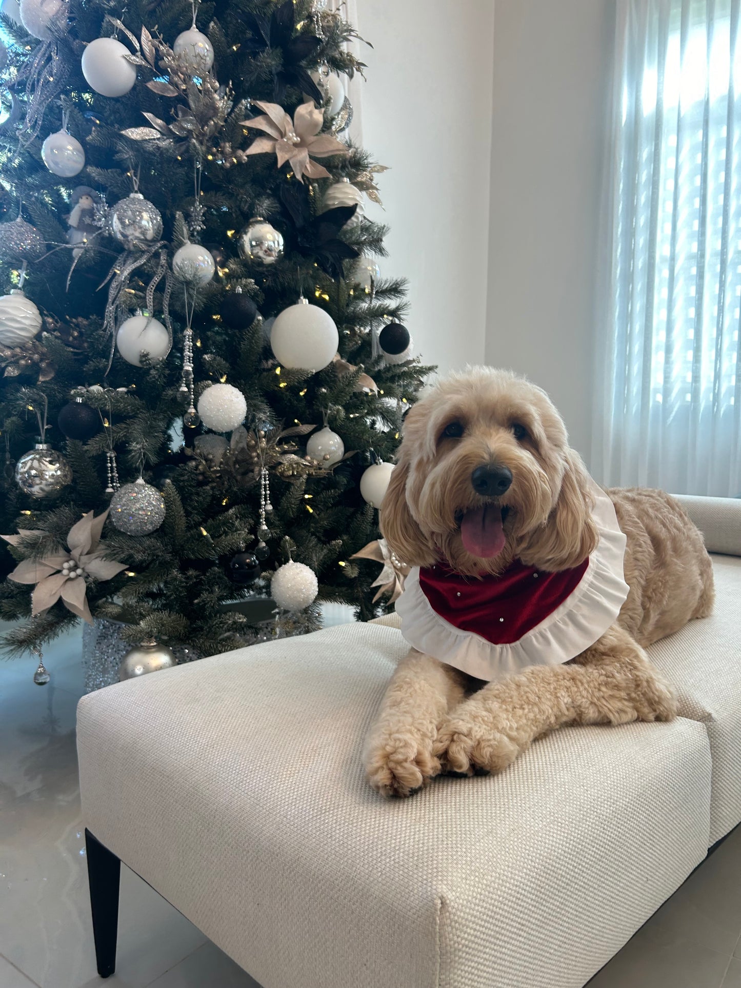 Christmas Day Bandana