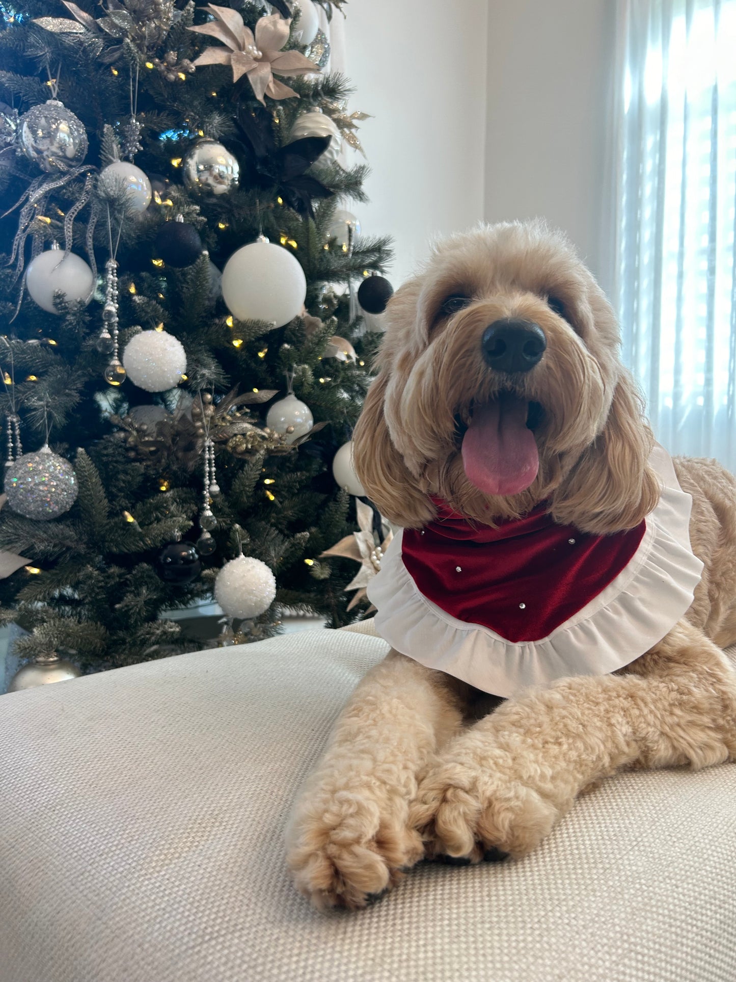 Christmas Day Bandana