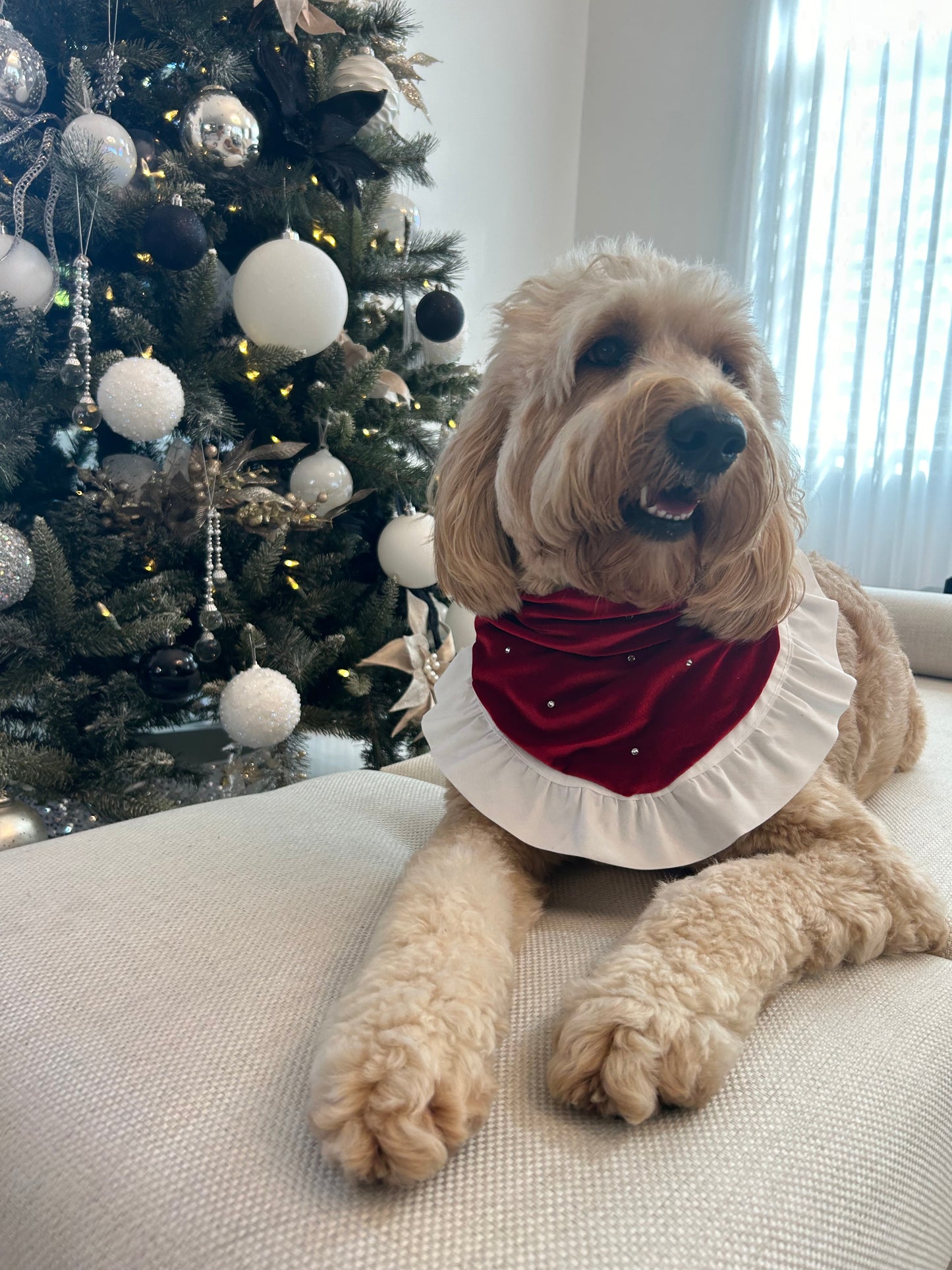 Christmas Day Bandana