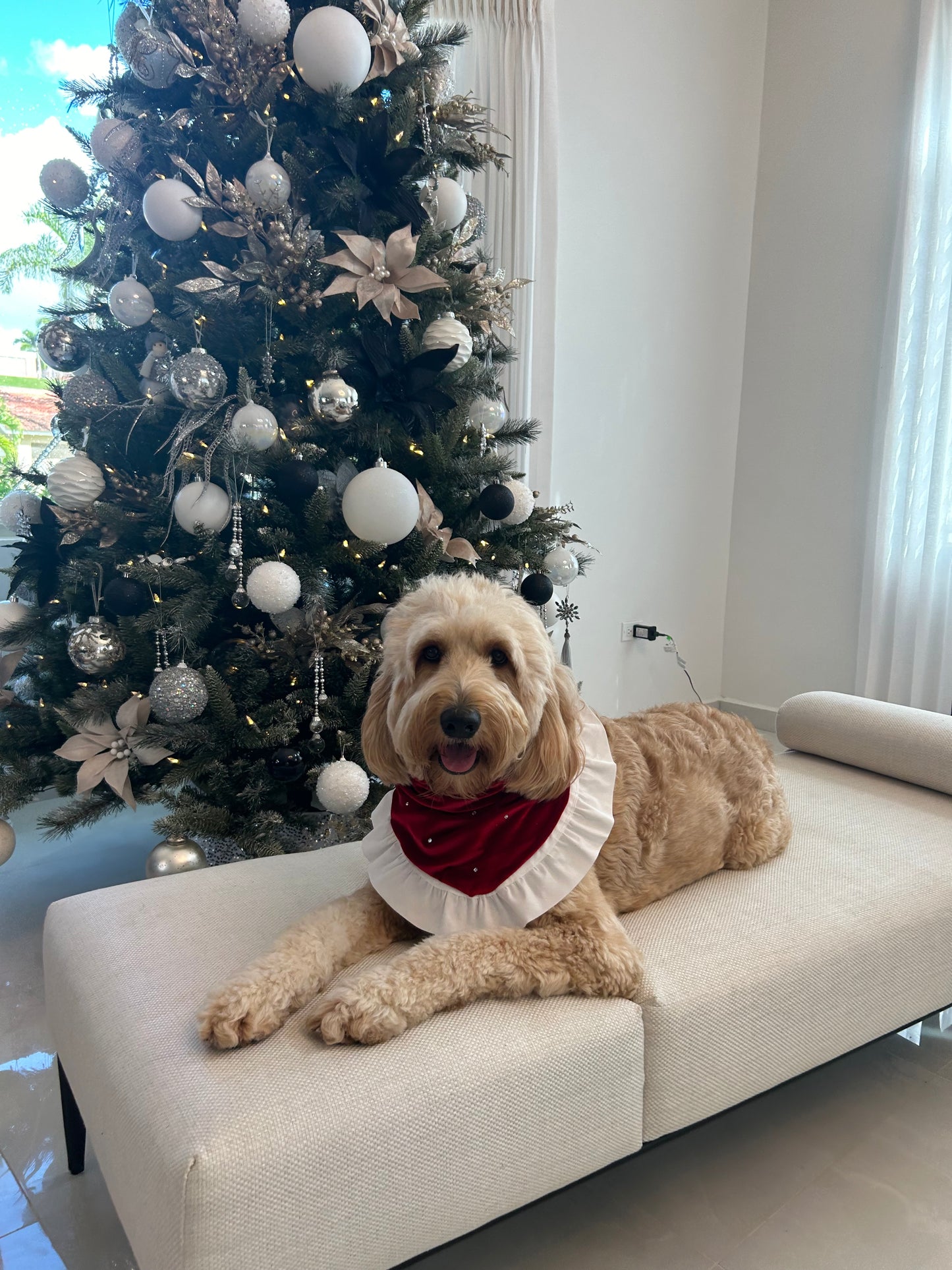 Christmas Day Bandana