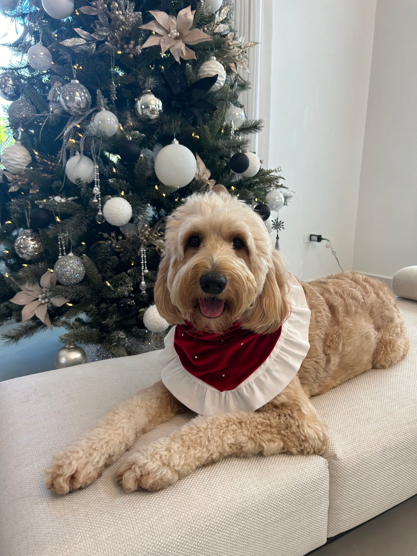 Christmas Day Bandana