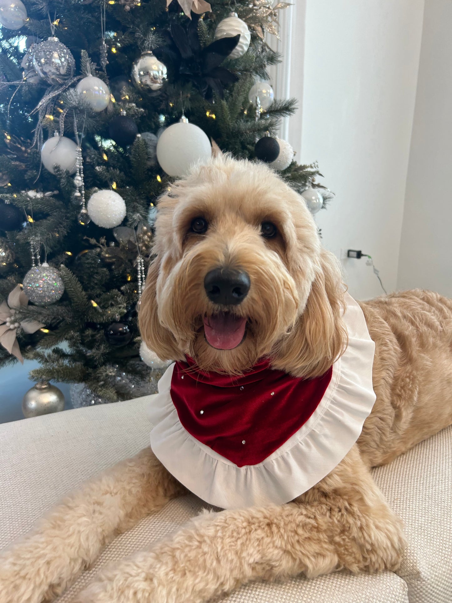 Christmas Day Bandana