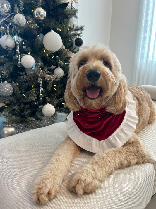 Christmas Day Bandana