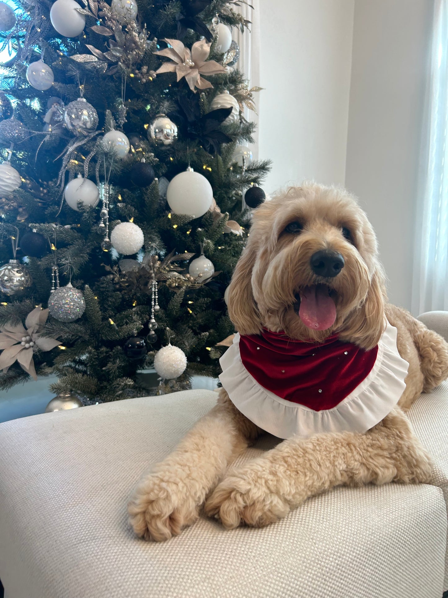 Christmas Day Bandana