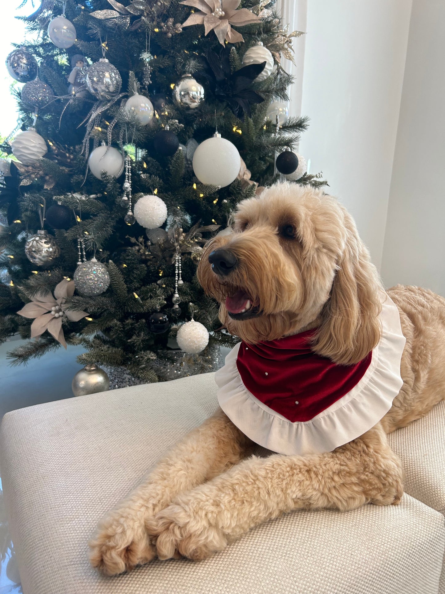 Christmas Day Bandana