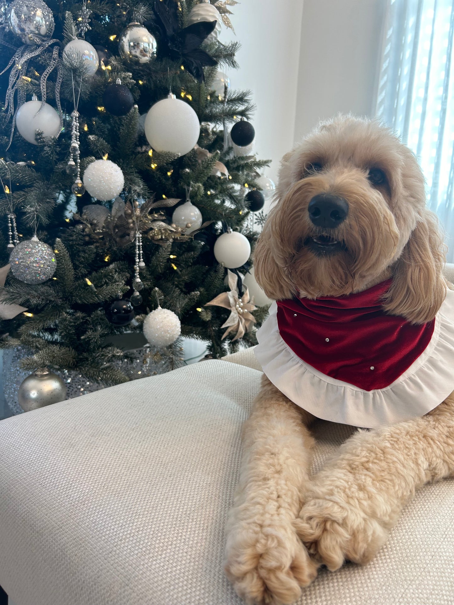 Christmas Day Bandana