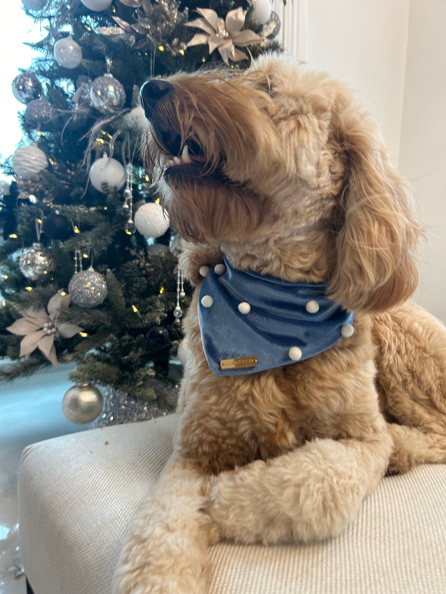 Blue Velvet Christmas Bandana