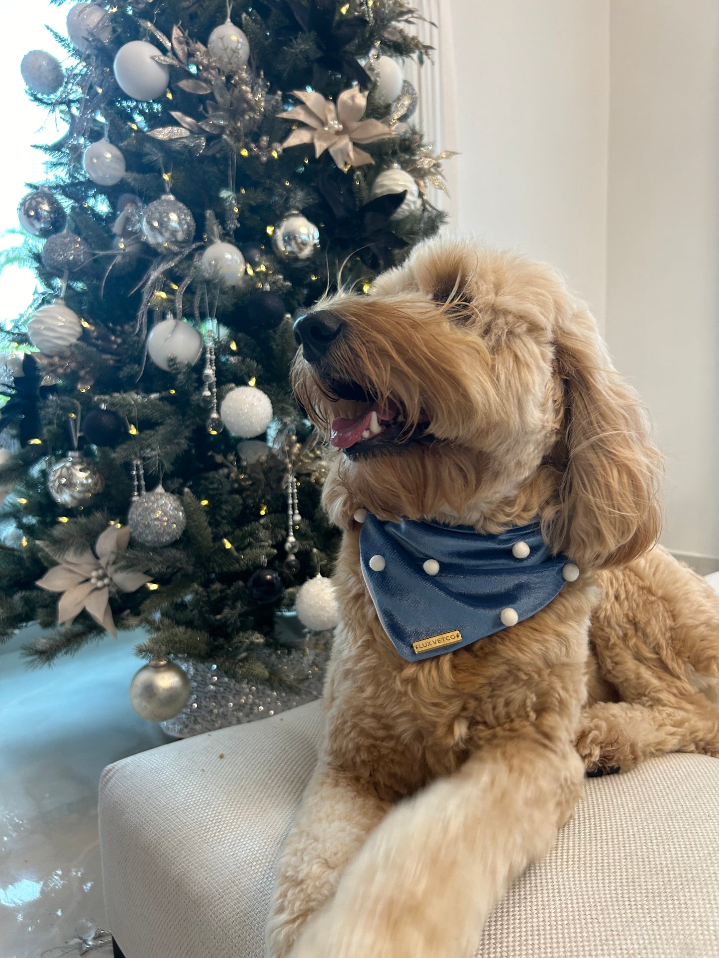 Blue Velvet Christmas Bandana