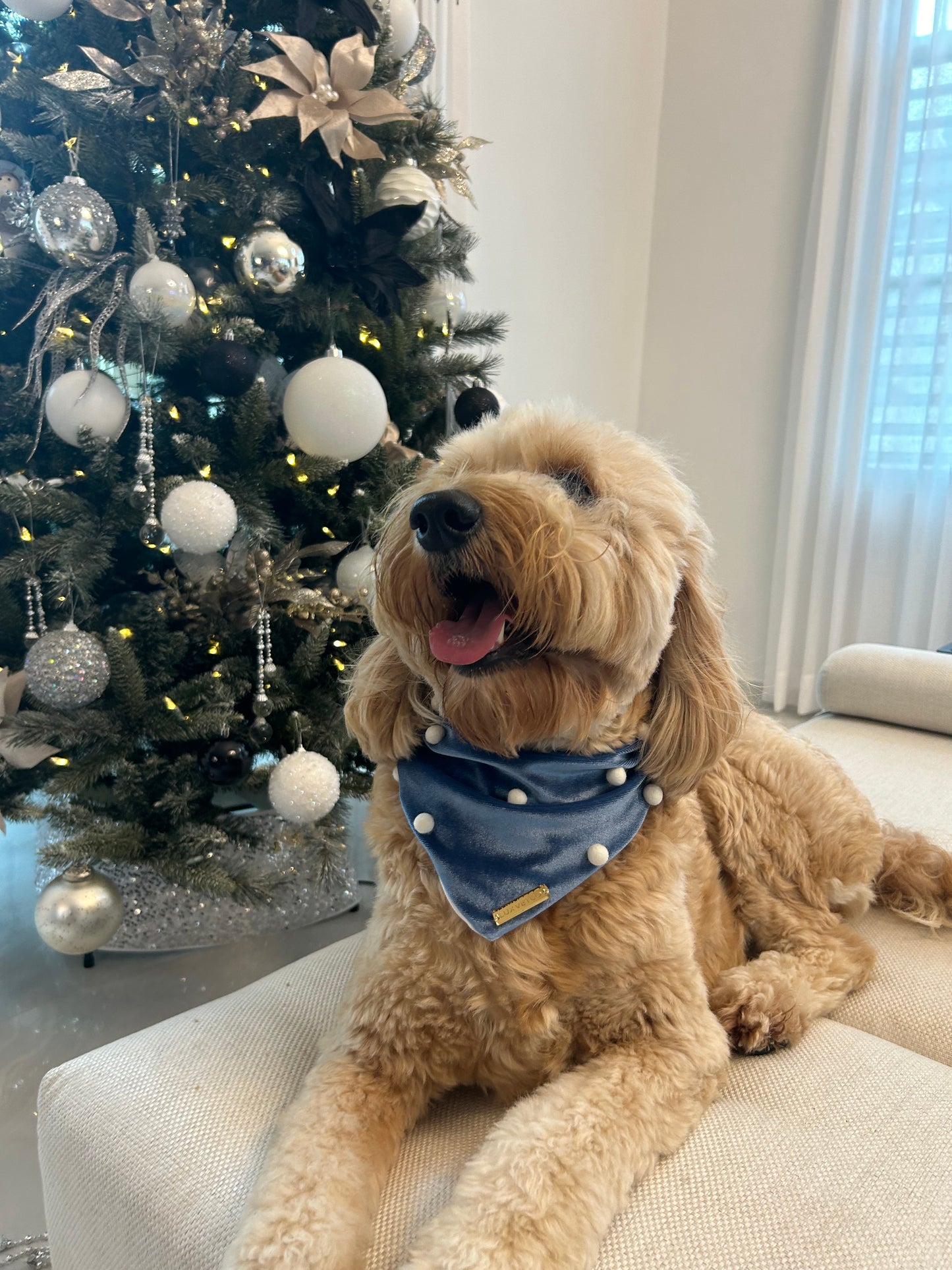 Blue Velvet Christmas Bandana