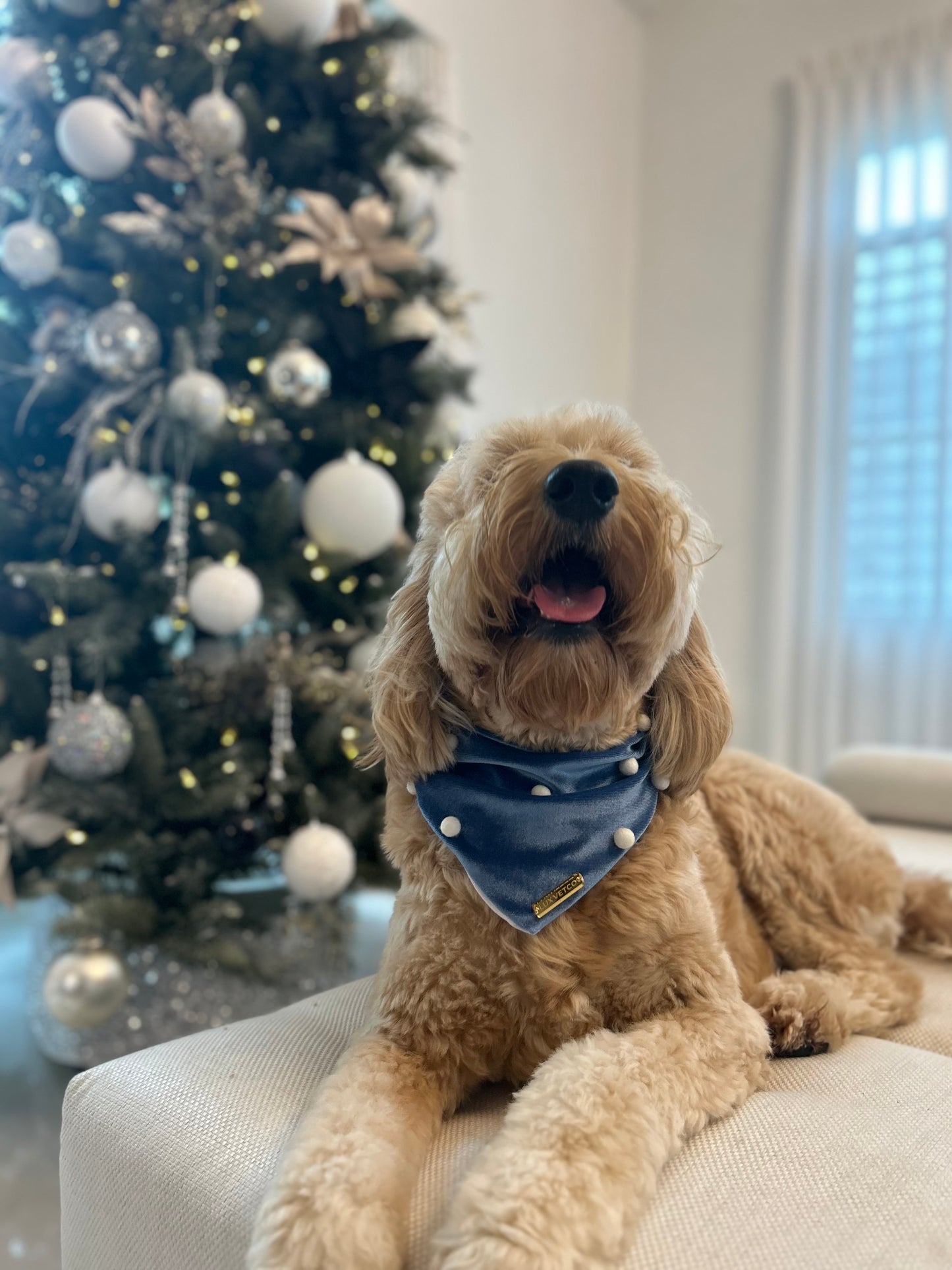 Blue Velvet Christmas Bandana