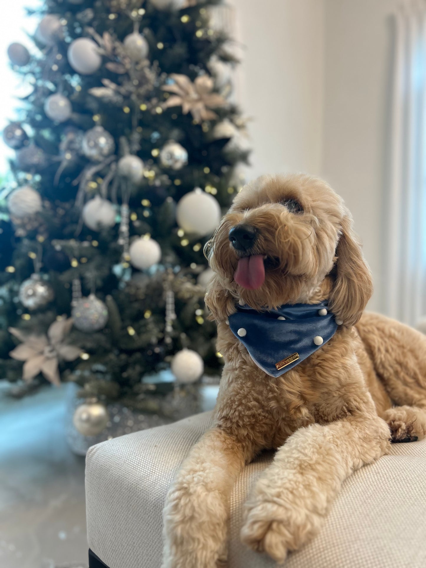 Blue Velvet Christmas Bandana