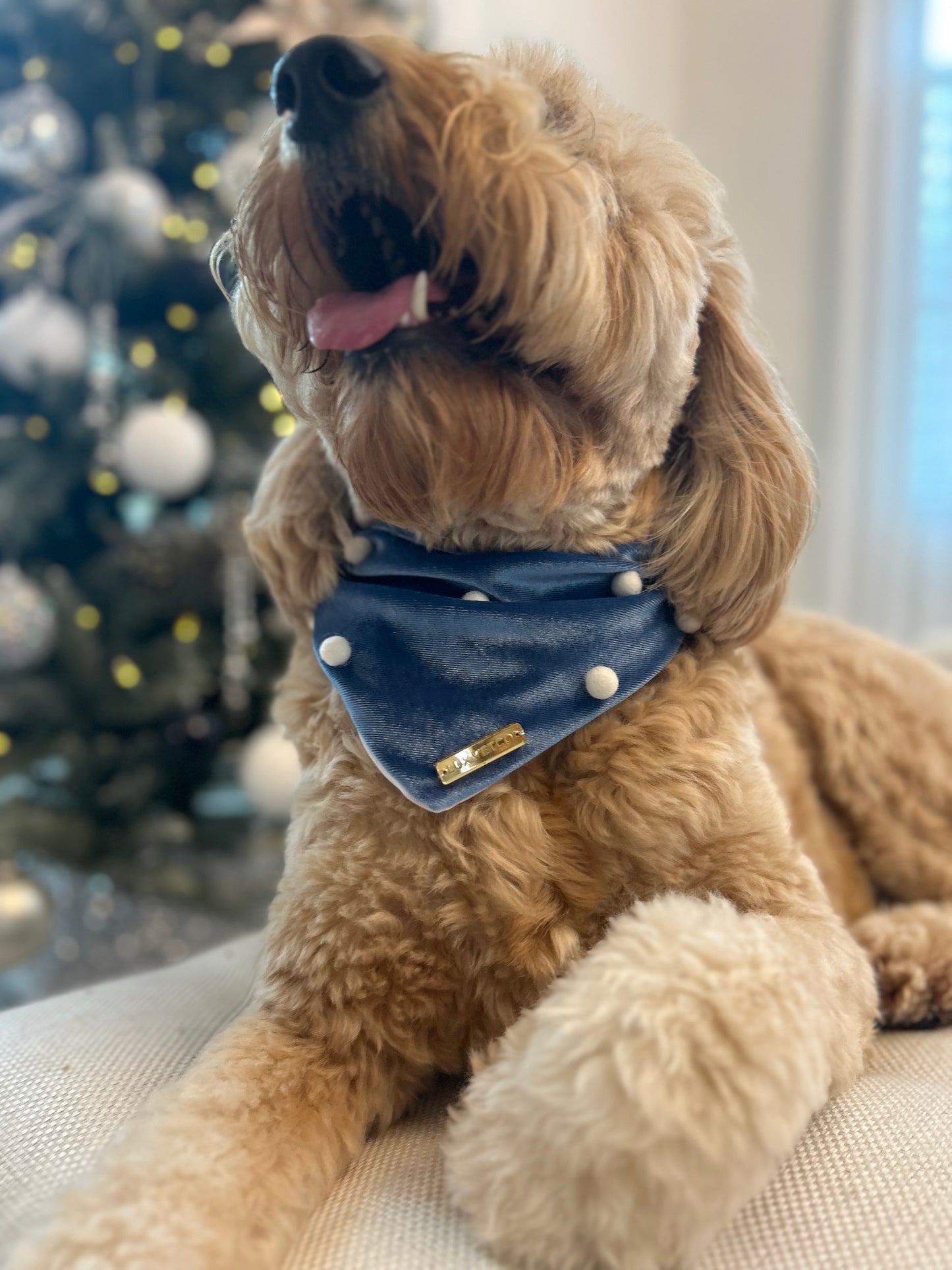 Blue Velvet Christmas Bandana