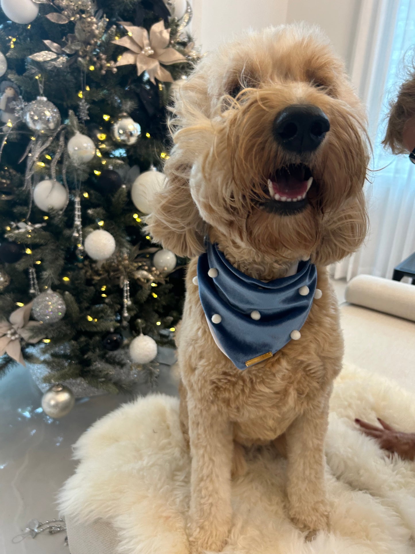 Blue Velvet Christmas Bandana