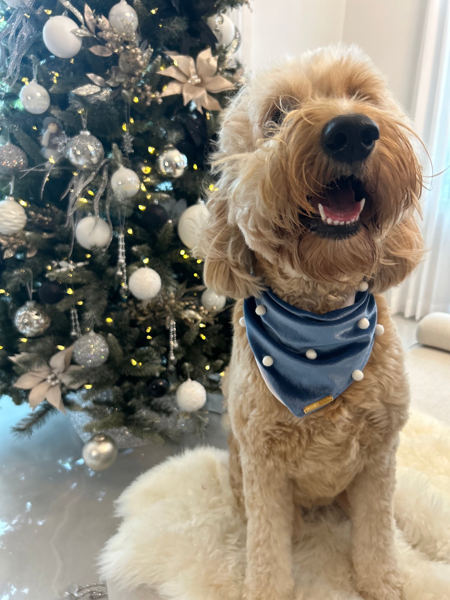 Blue Velvet Christmas Bandana