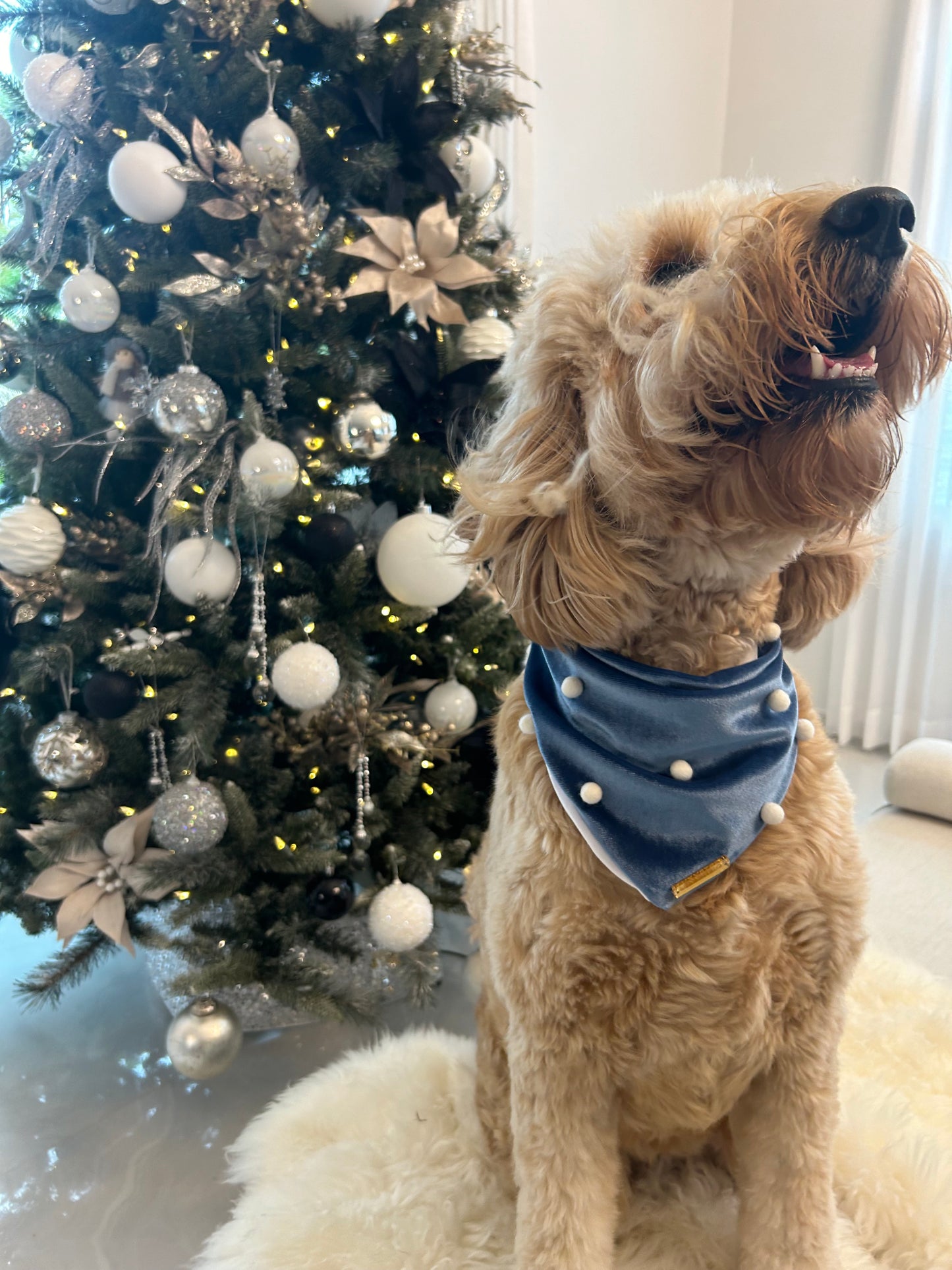 Blue Velvet Christmas Bandana