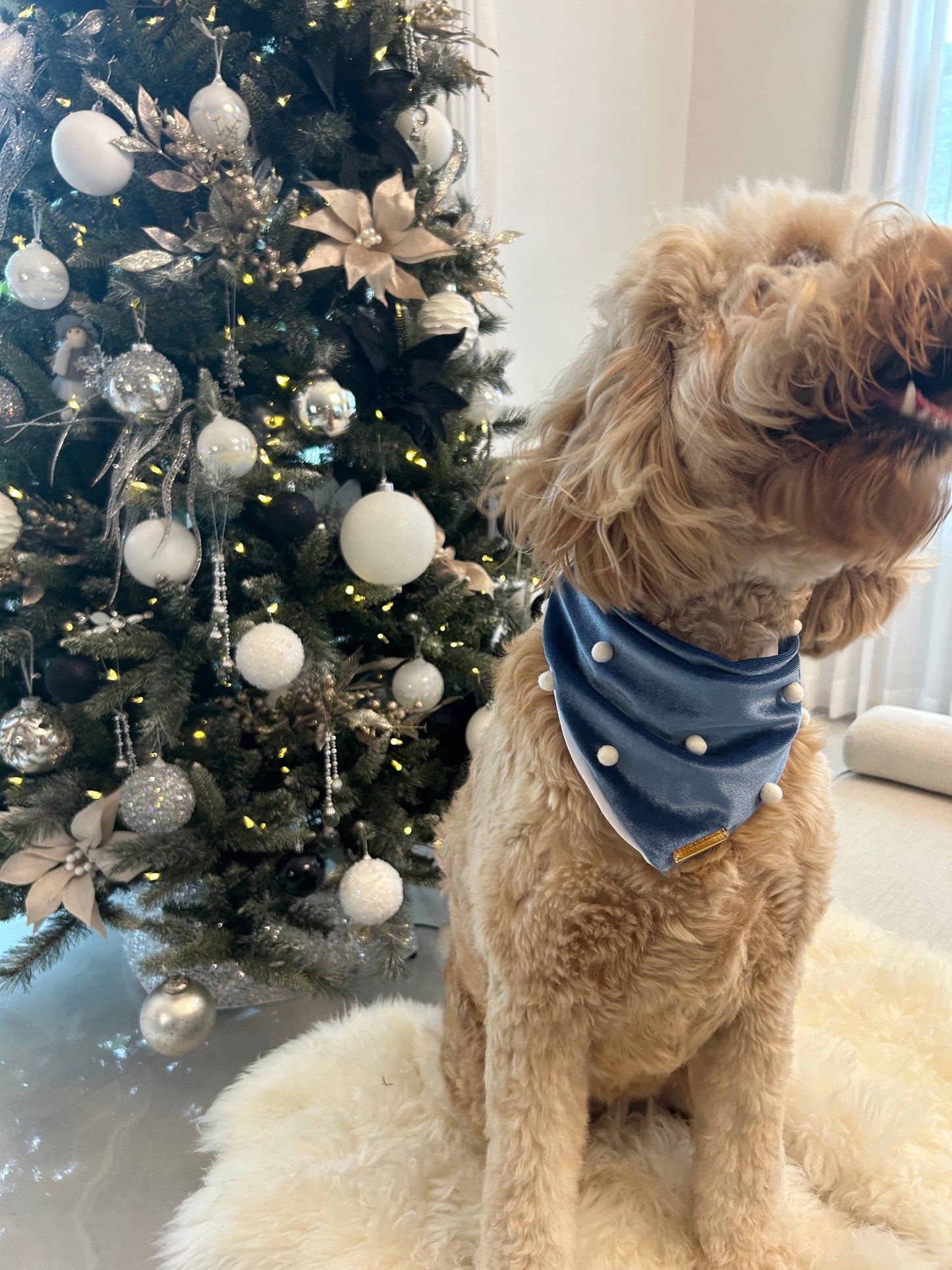 Blue Velvet Christmas Bandana