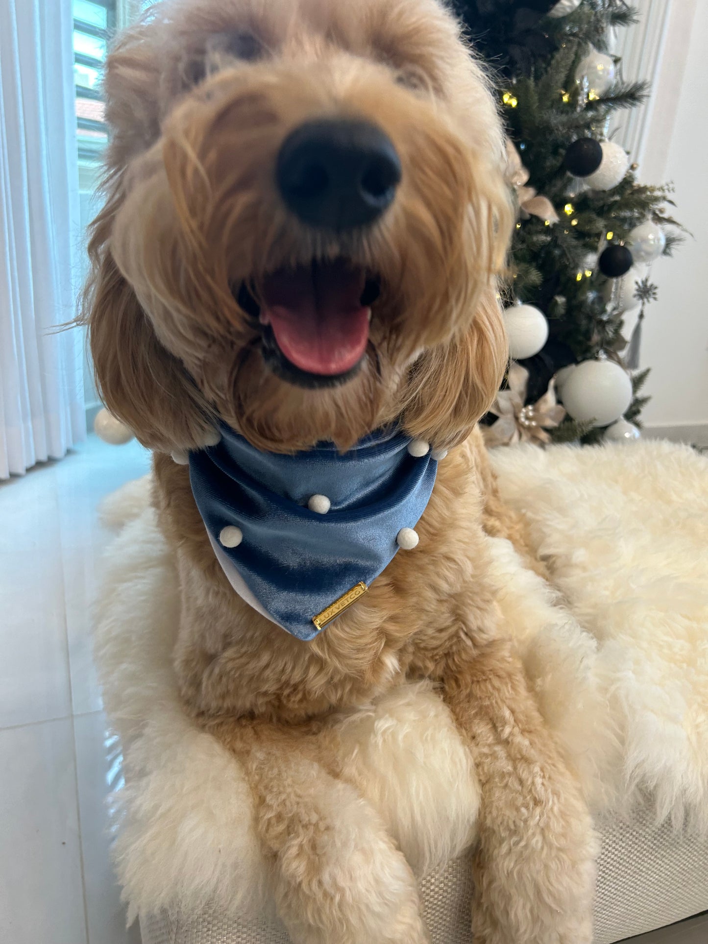 Blue Velvet Christmas Bandana