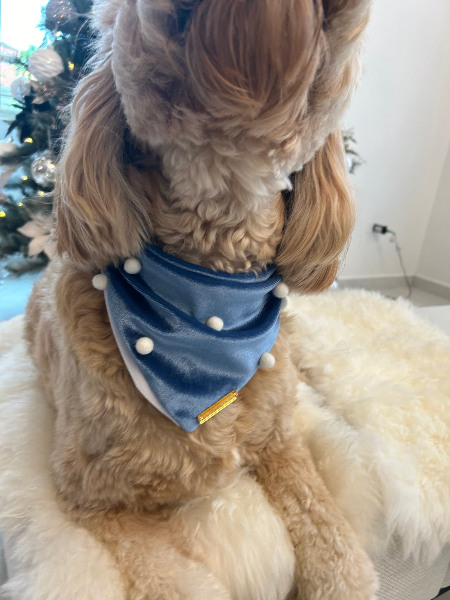 Blue Velvet Christmas Bandana