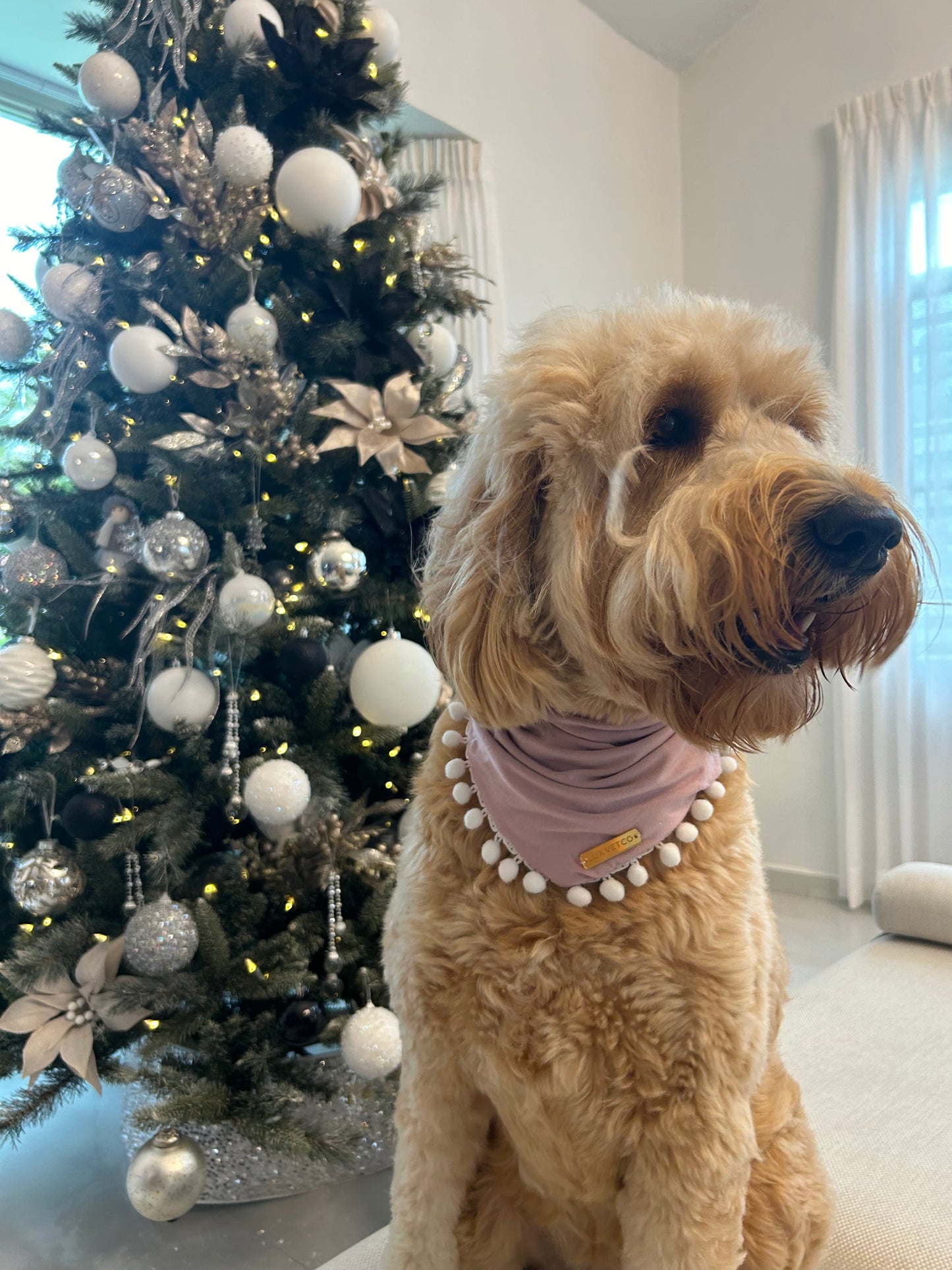 Pink Festive Bandana