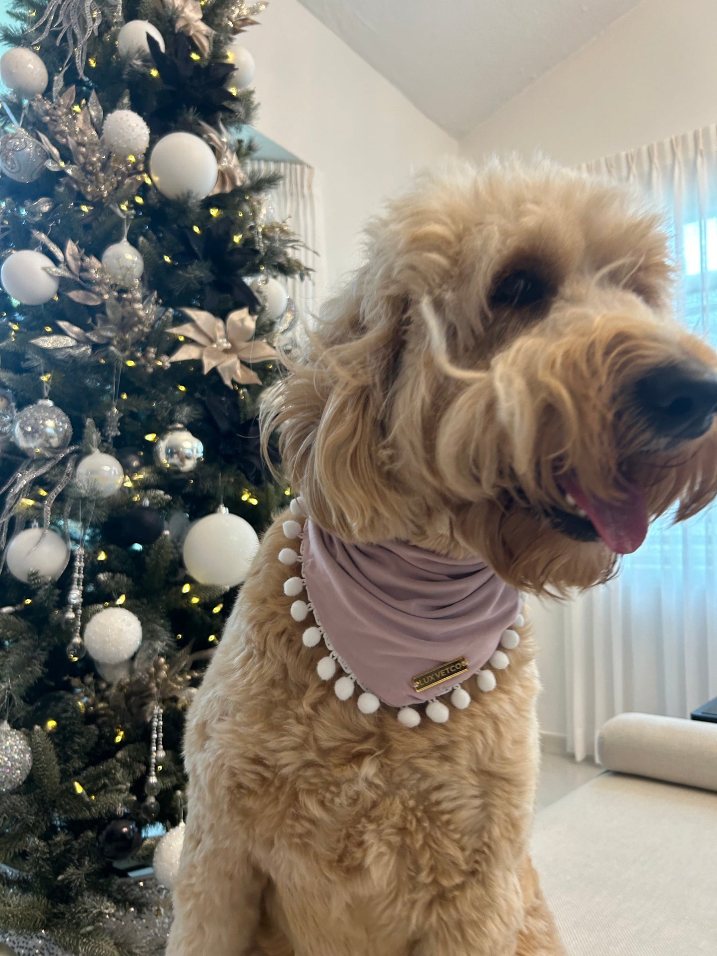 Pink Festive Bandana