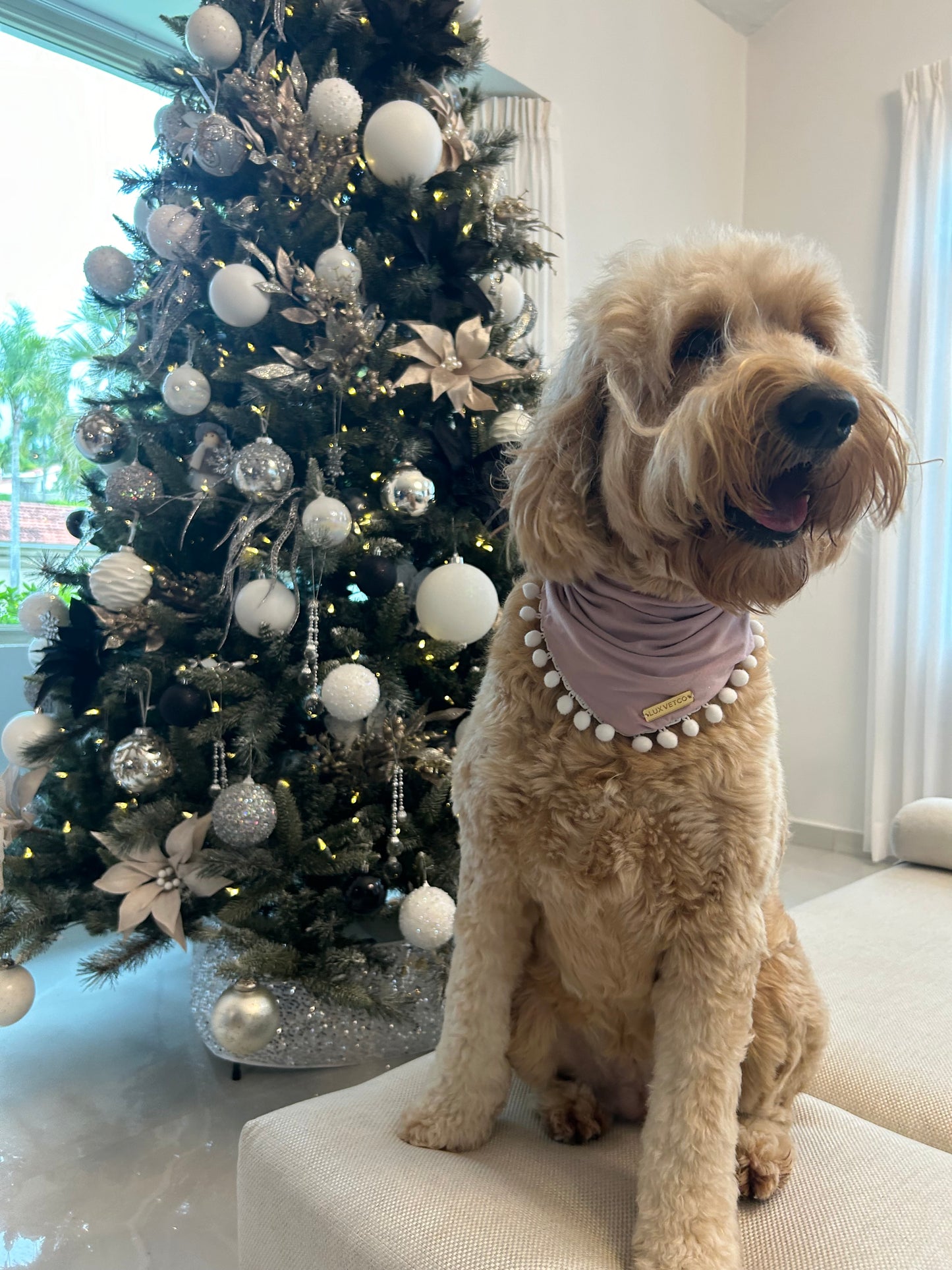 Pink Festive Bandana