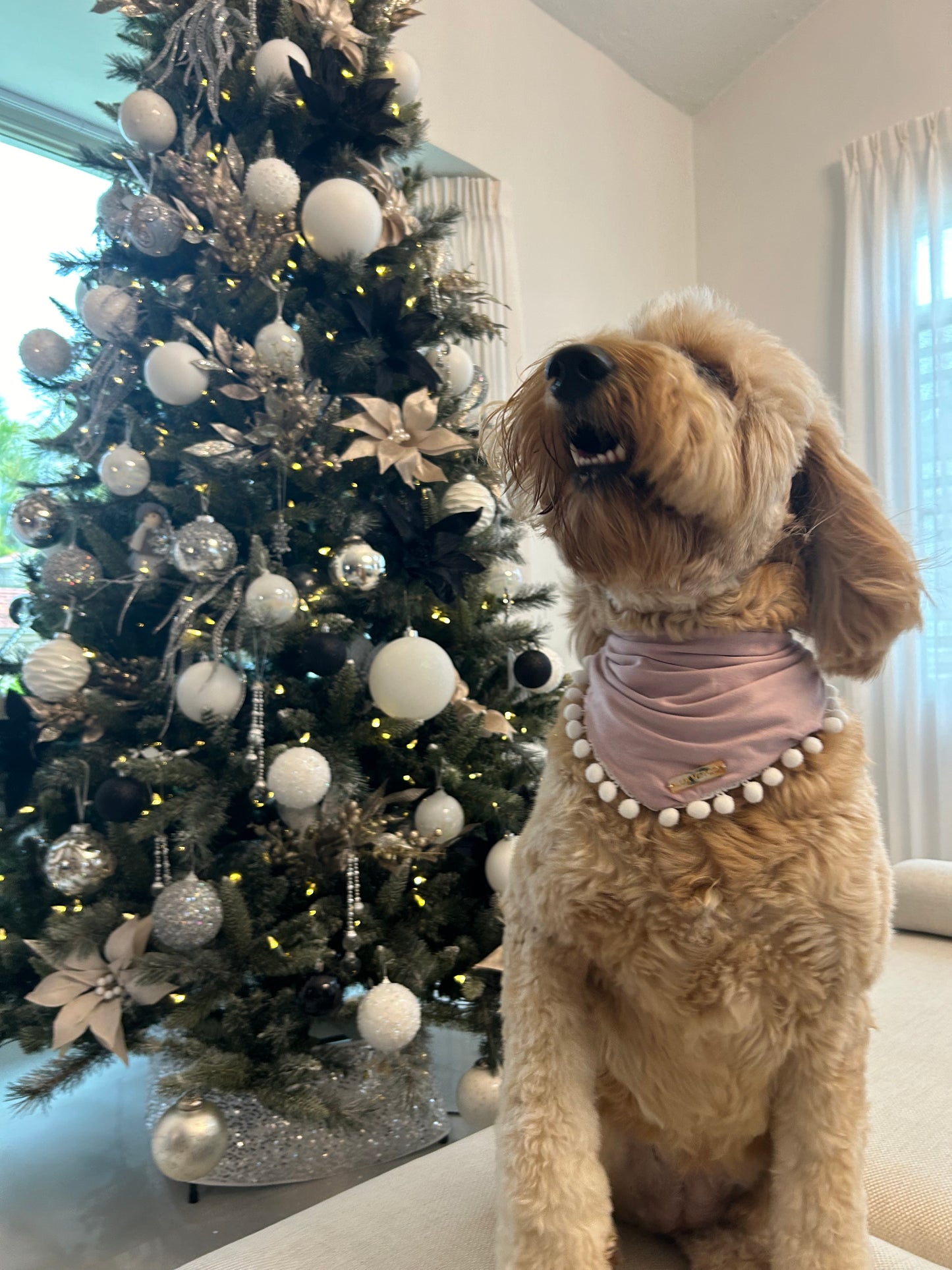 Pink Festive Bandana