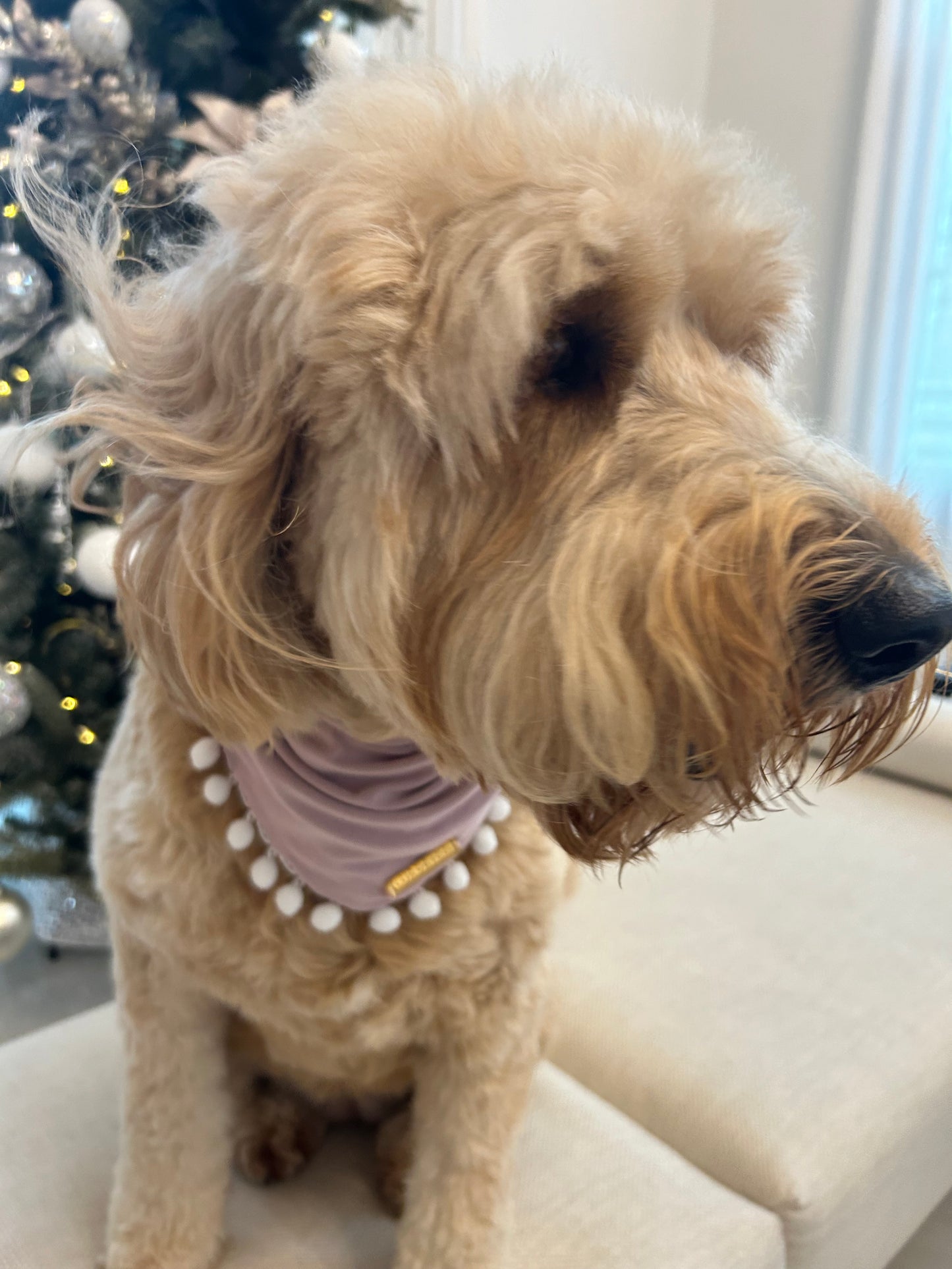 Pink Festive Bandana