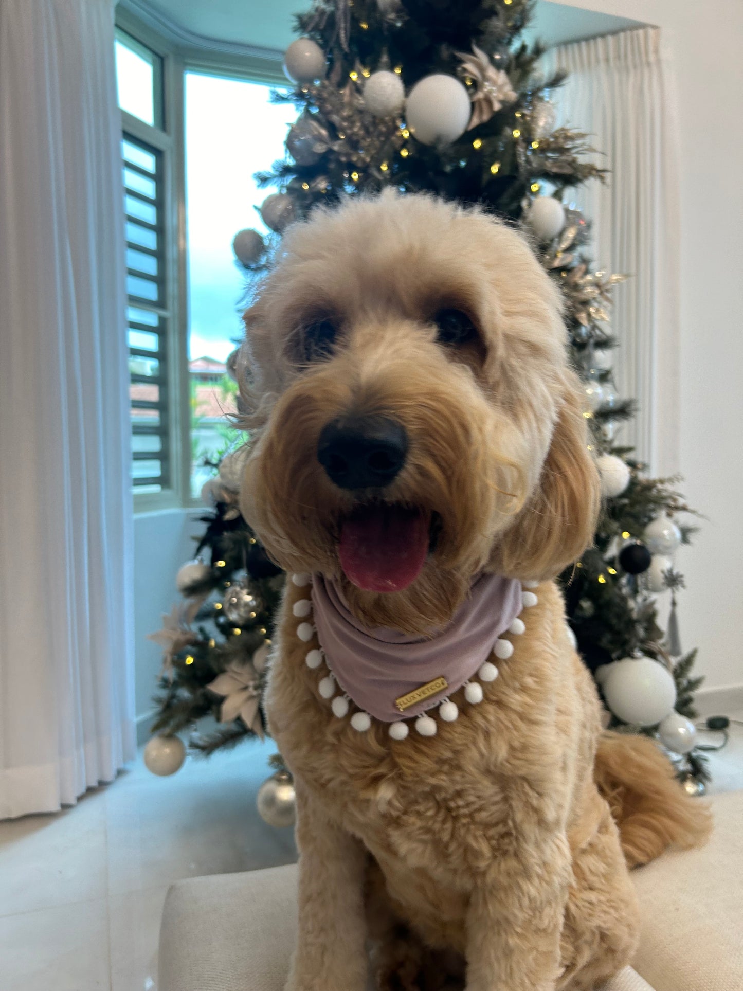 Pink Festive Bandana