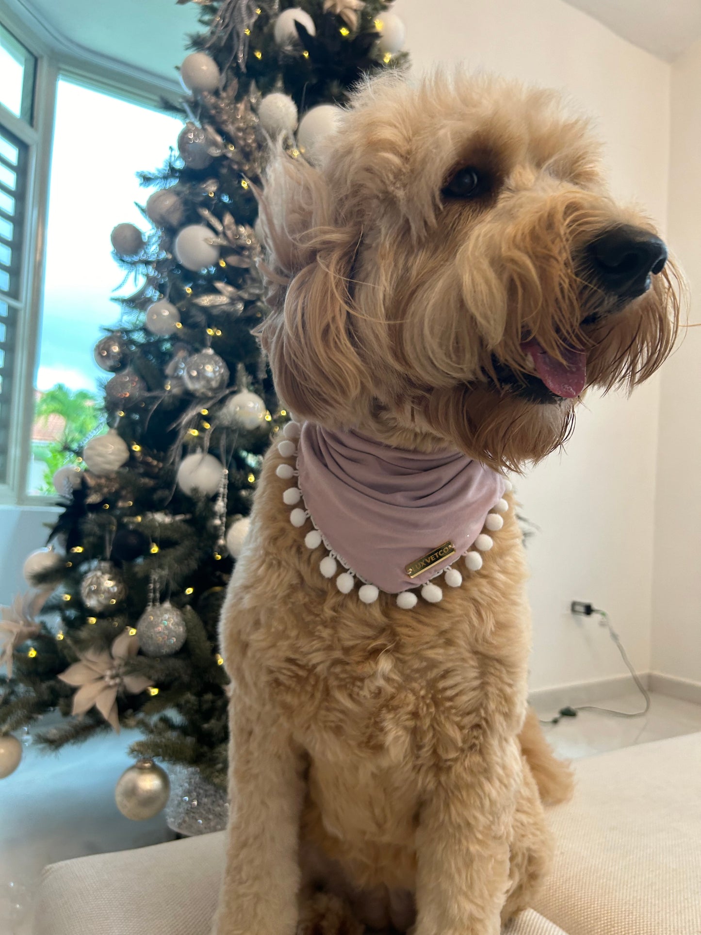 Pink Festive Bandana