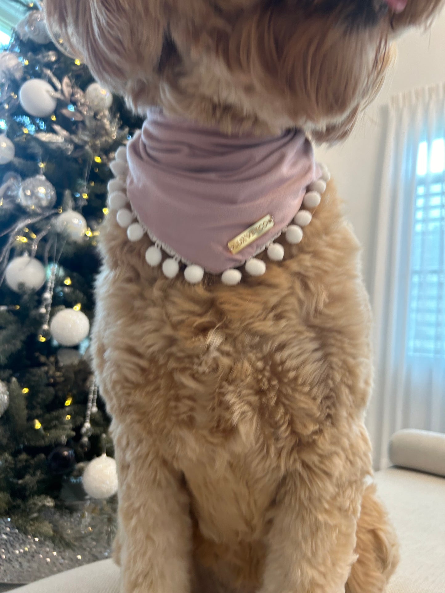 Pink Festive Bandana