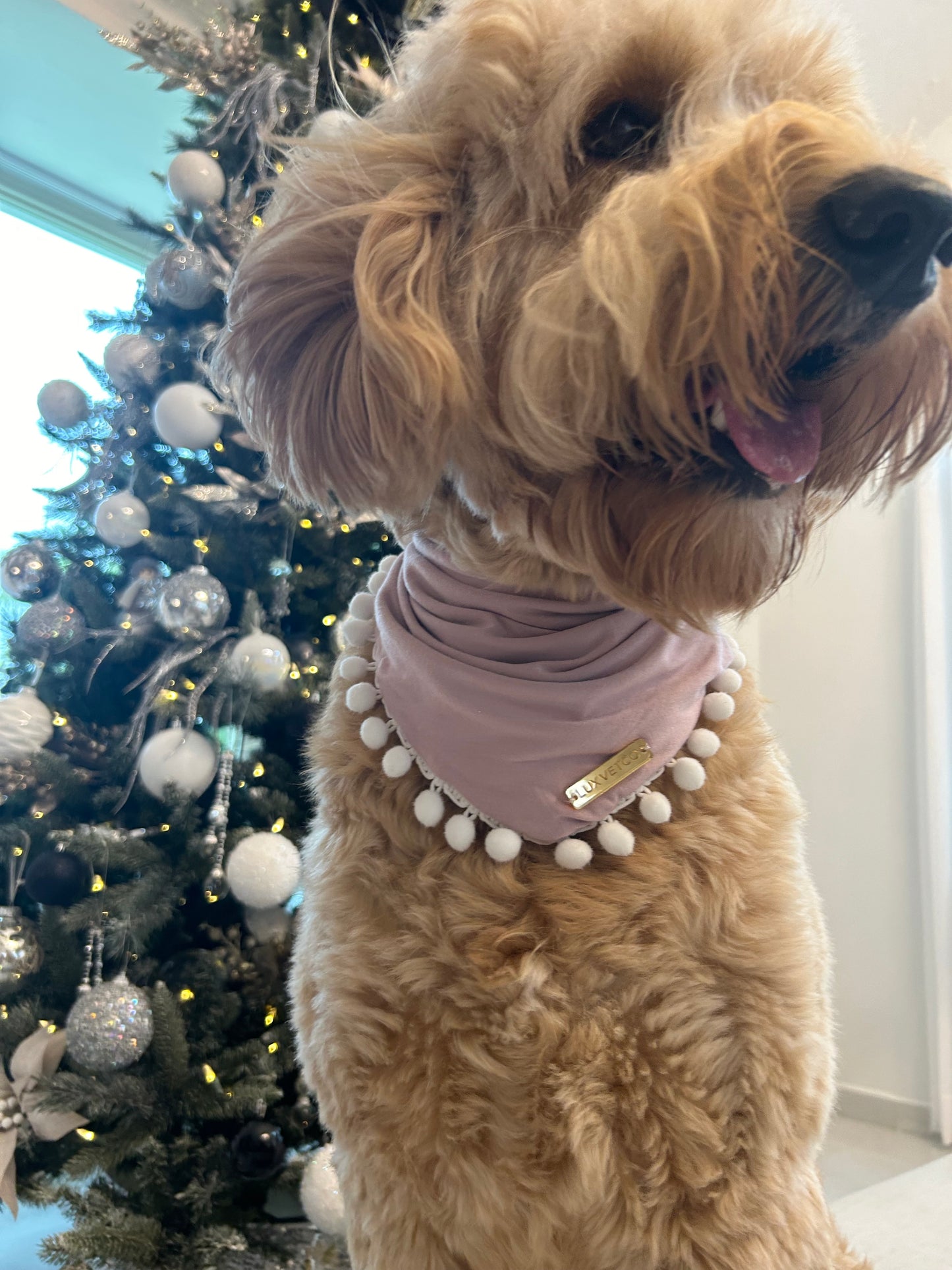 Pink Festive Bandana