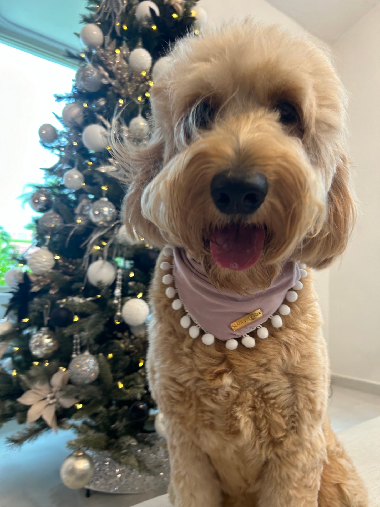 Pink Festive Bandana