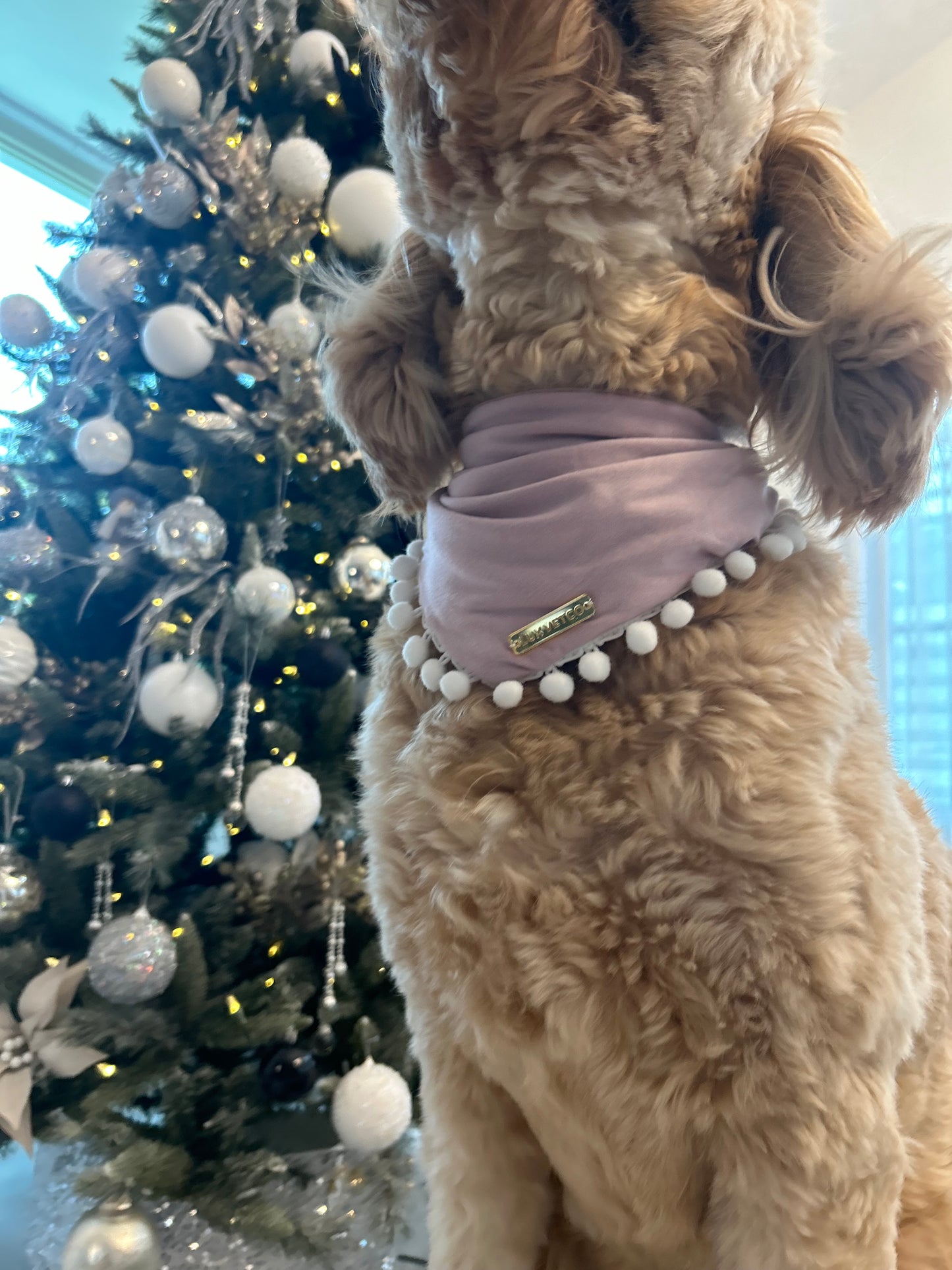 Pink Festive Bandana