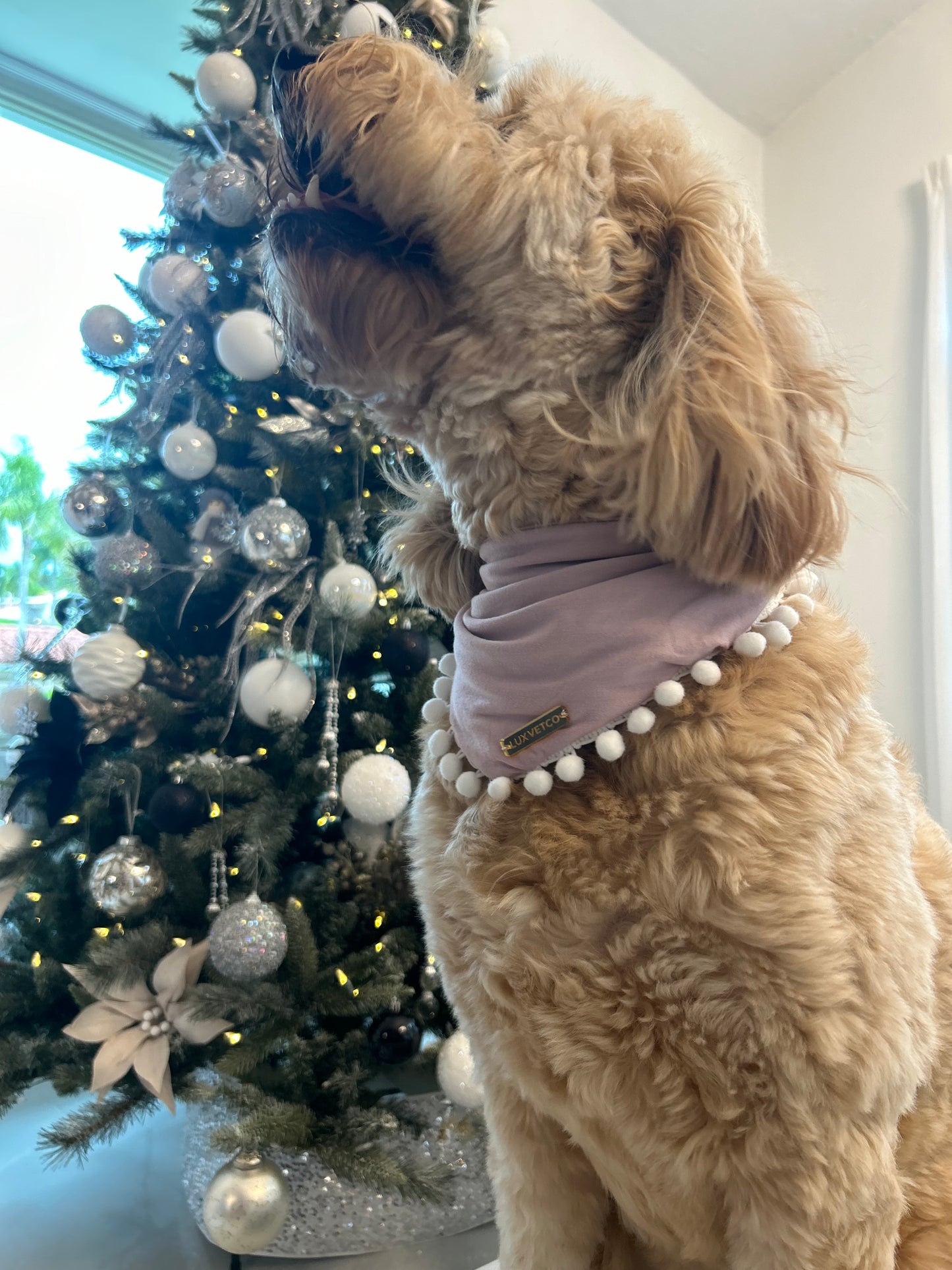 Pink Festive Bandana