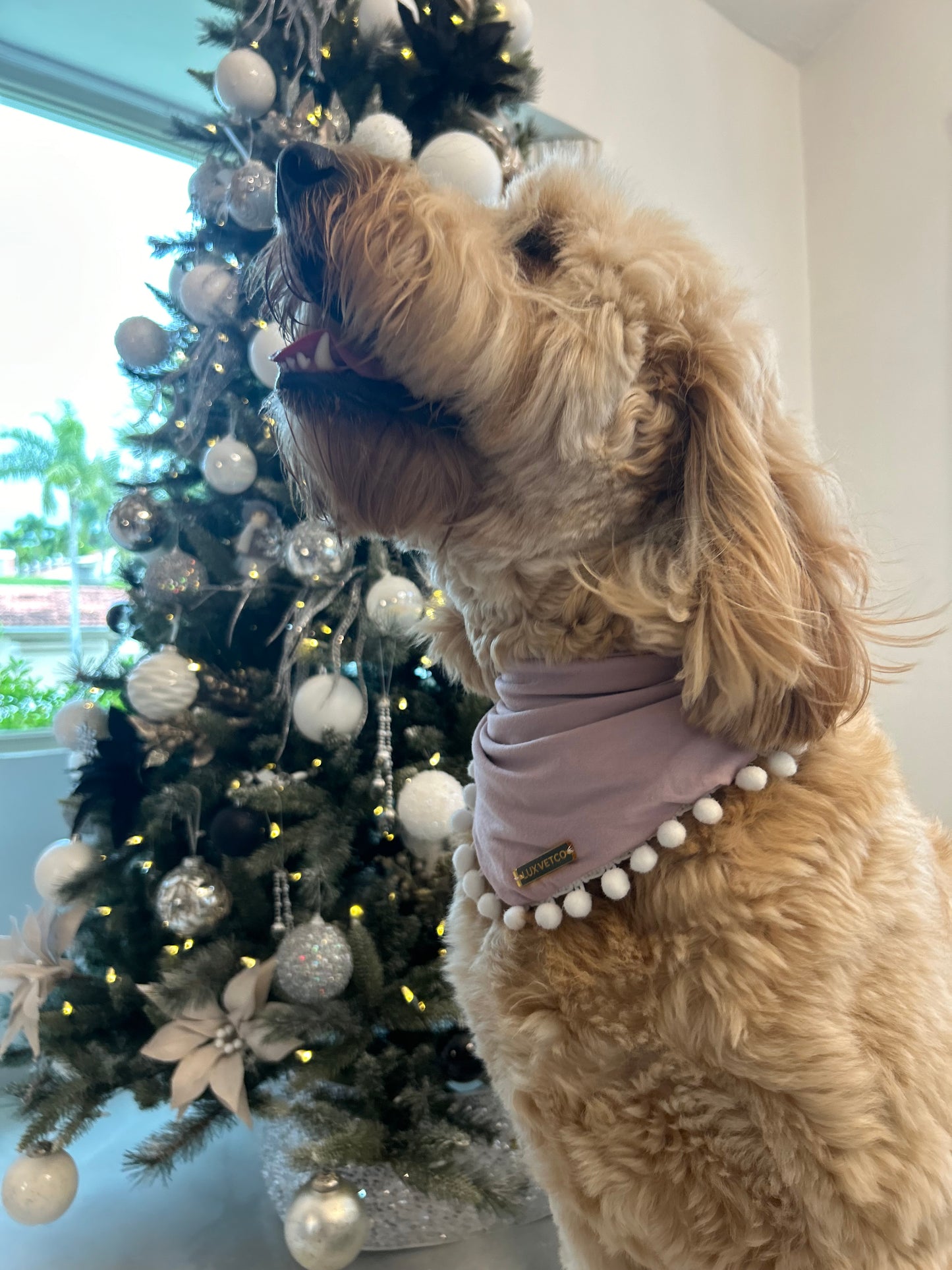 Pink Festive Bandana