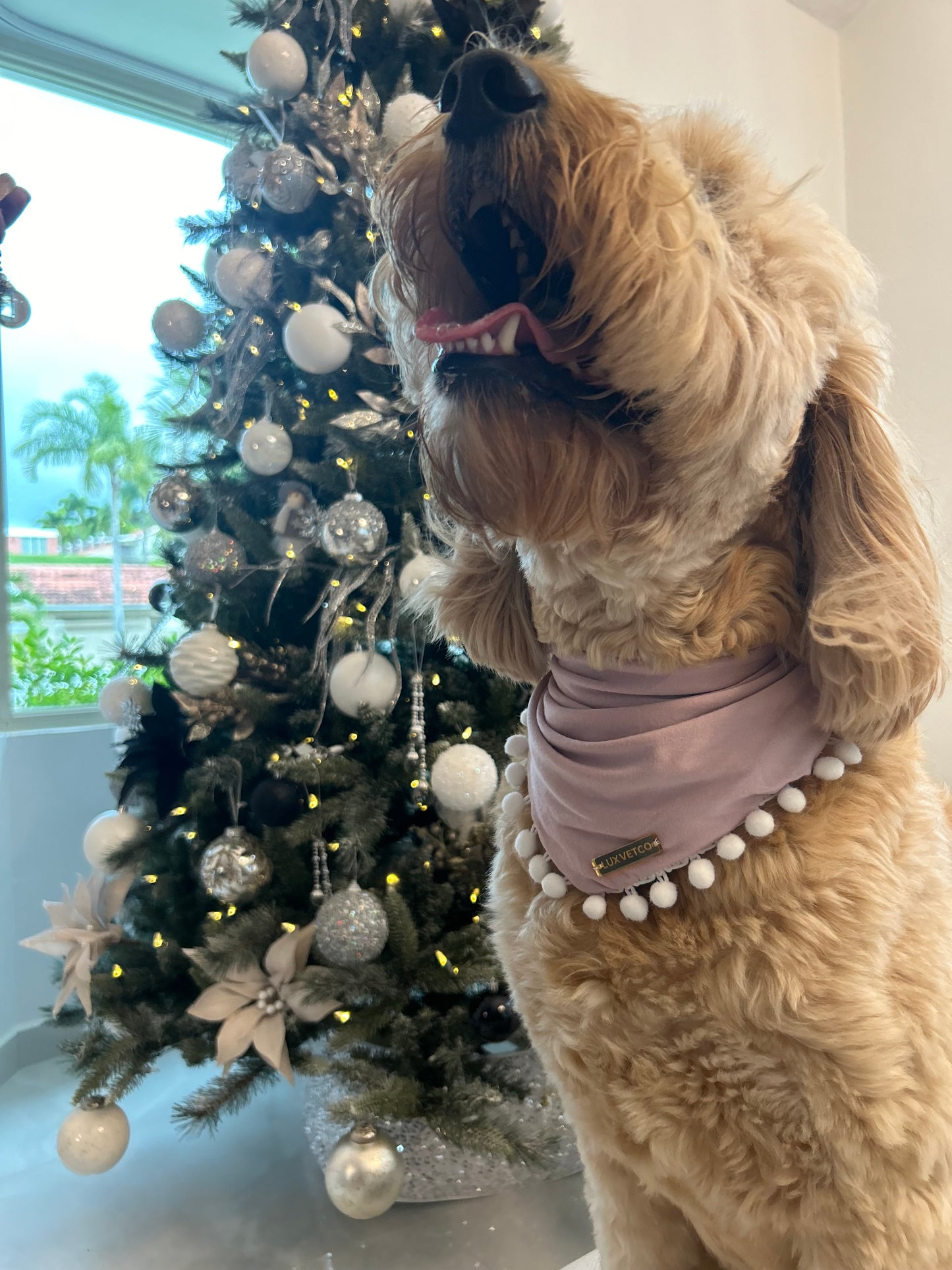 Pink Festive Bandana