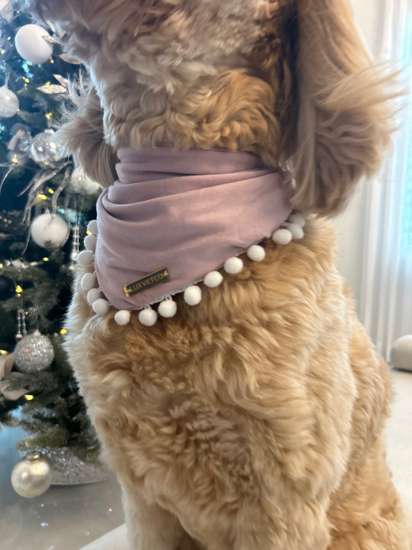 Pink Festive Bandana