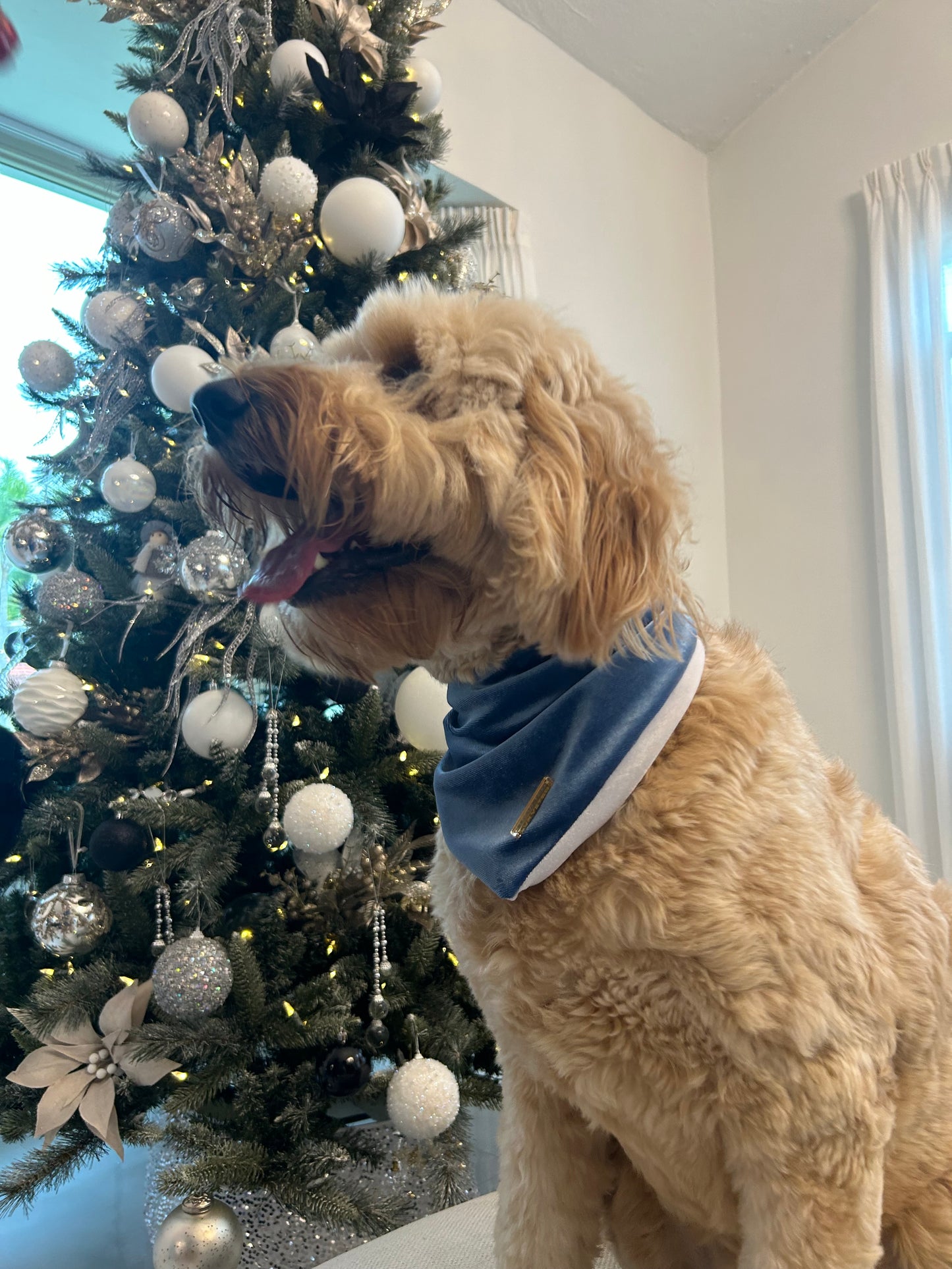 Ocean Blue Velvet Christmas Bandana