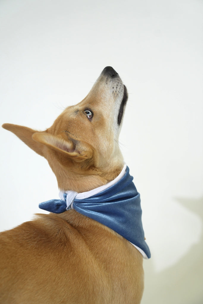 Ocean Blue Velvet Christmas Bandana