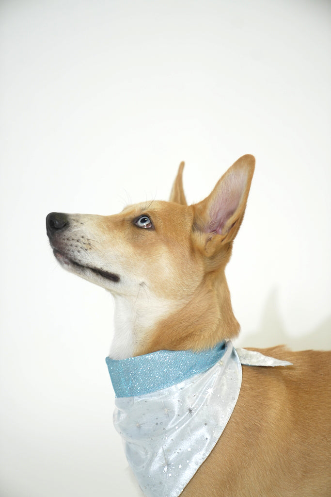 Blue Winter Bliss Bandana